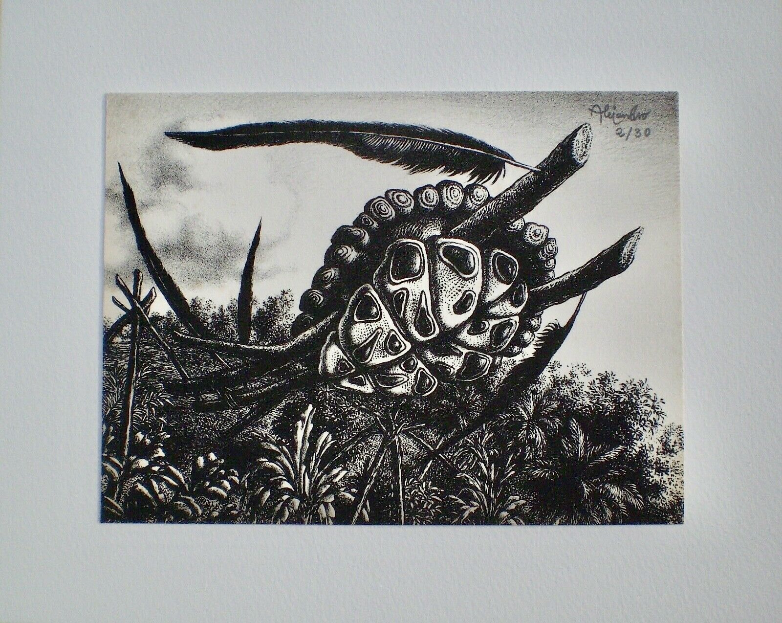 A black and white drawing of an octopus with a feather on its head.