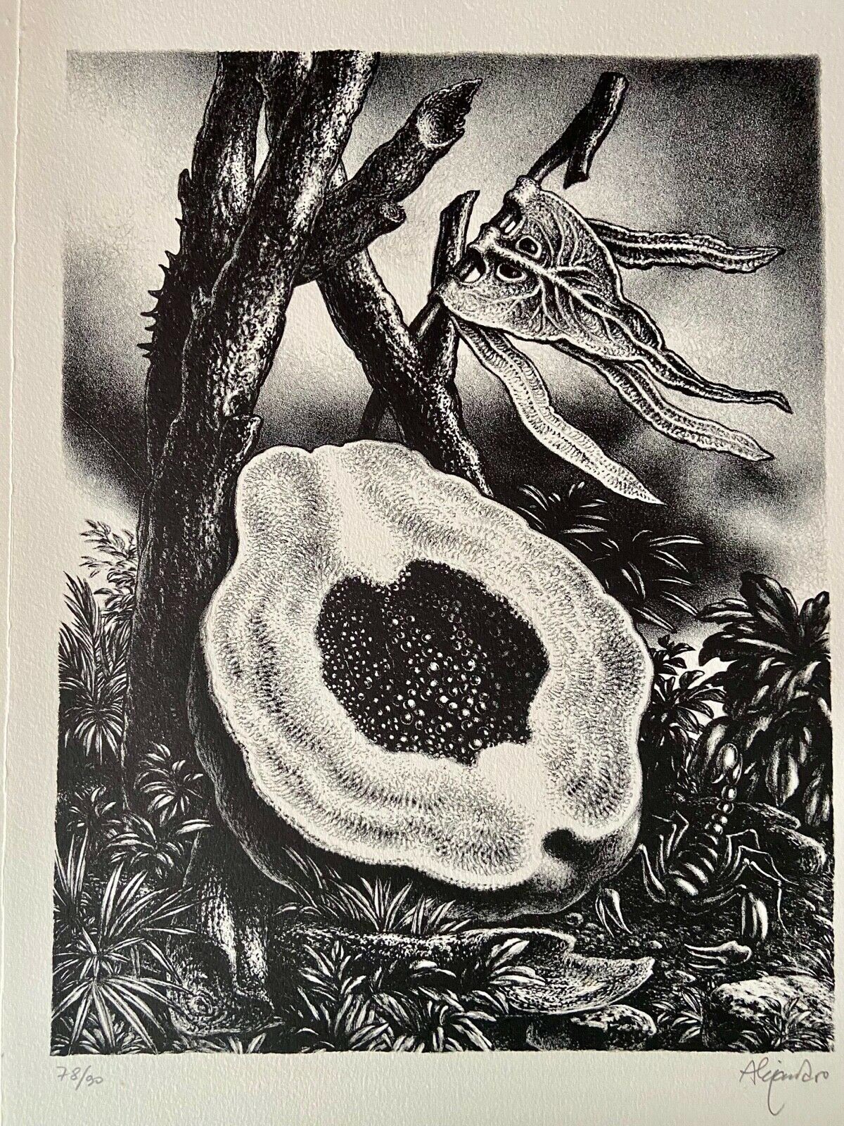 A black and white drawing of a flower on a tree branch.