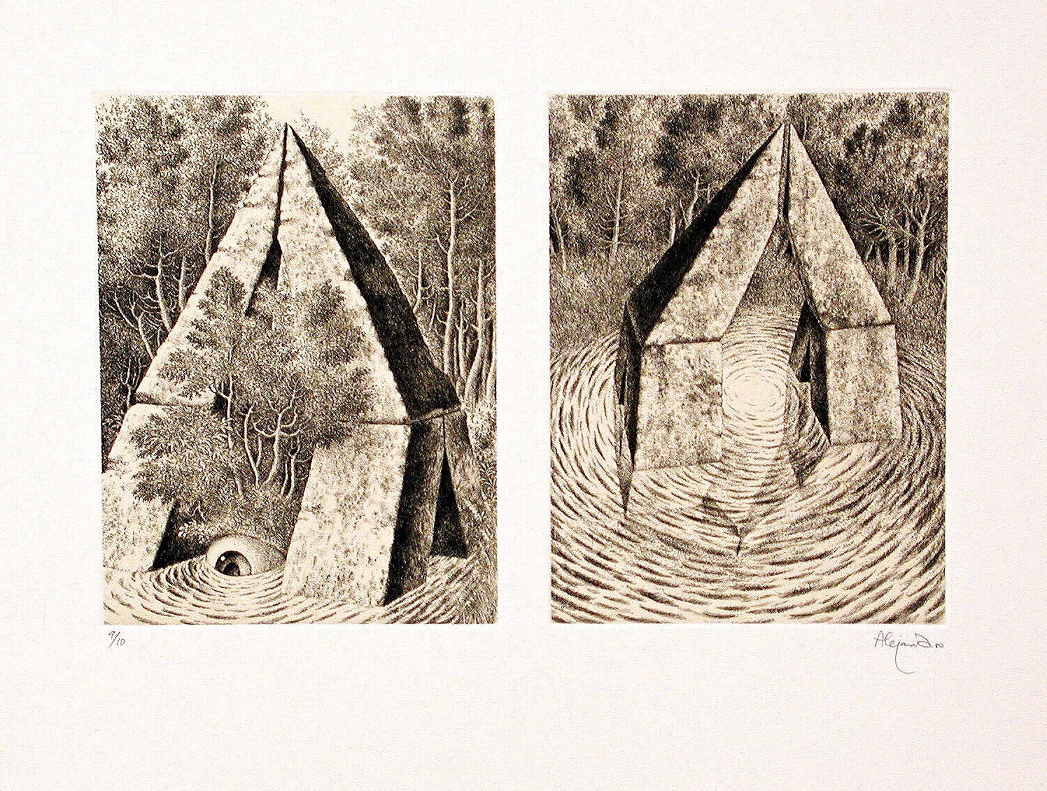 A black and white drawing of two houses in the woods.