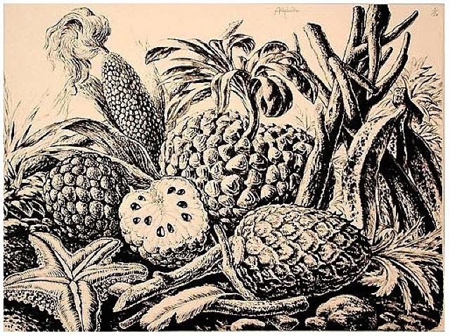 La tierra promiteda by José Ramón Díaz Alejandro, null