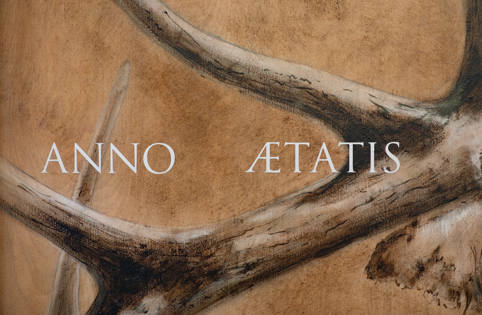 A realistic painting of a deer head mounted on wood with Latin text overlay.