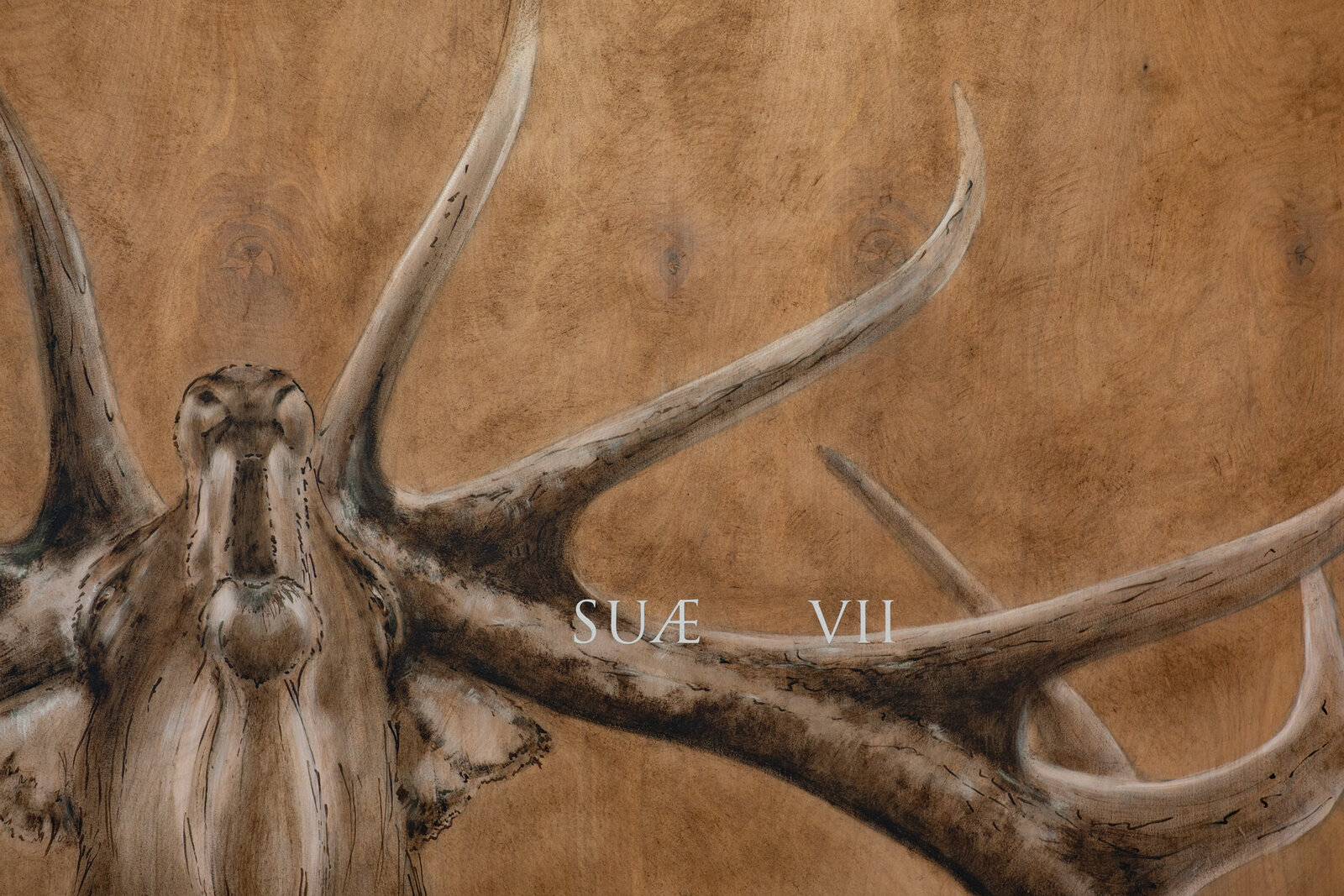 A realistic painting of a deer head mounted on wood with Latin text overlay.
