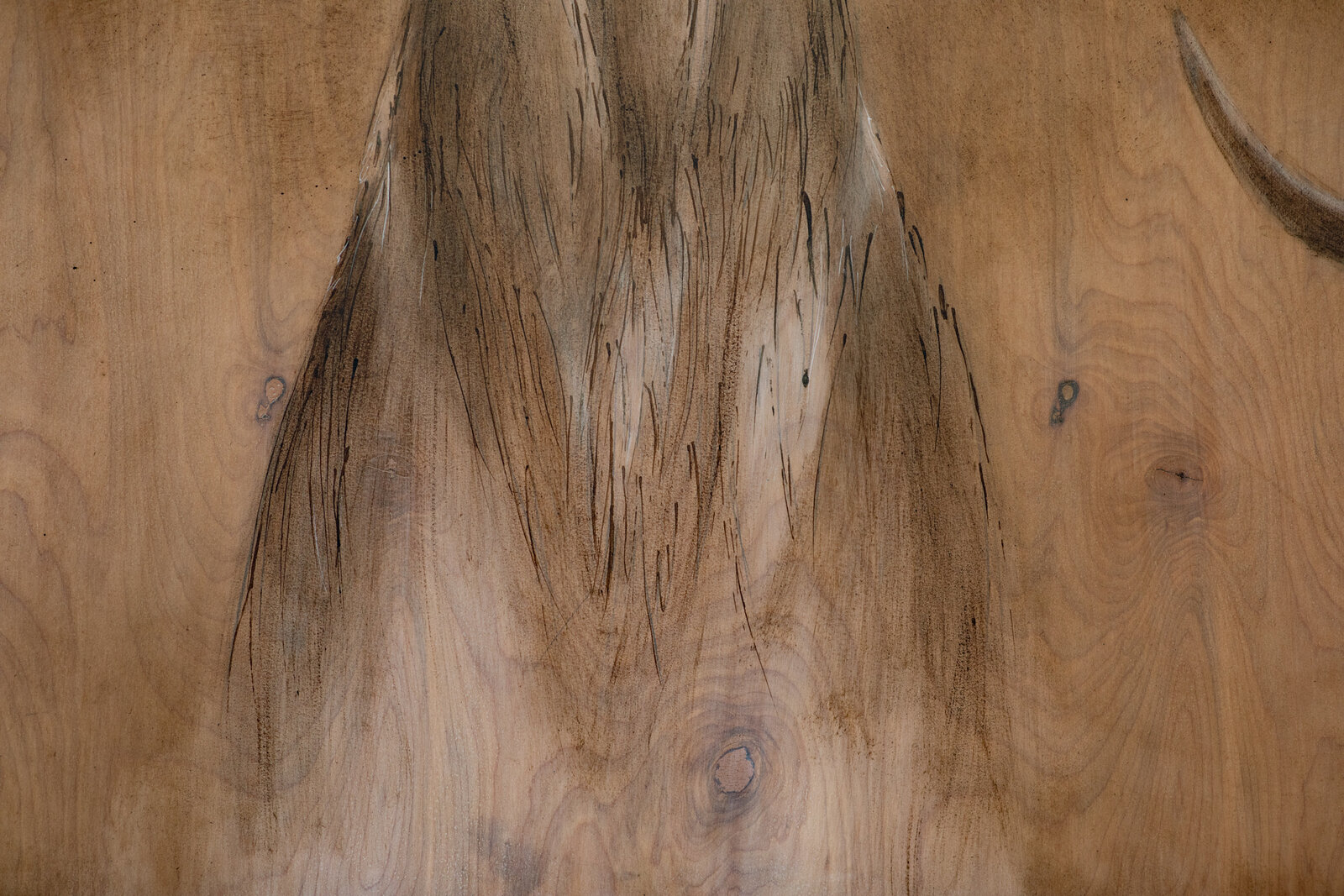 A realistic painting of a deer head mounted on wood with Latin text overlay.