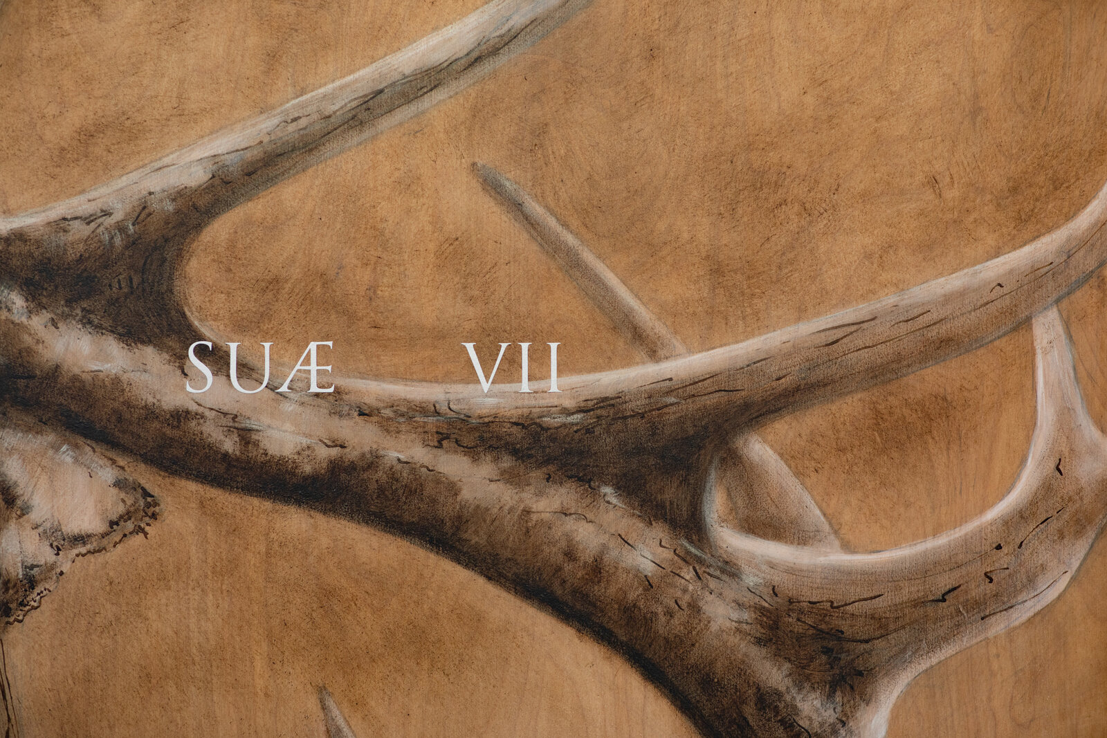 A realistic painting of a deer head mounted on wood with Latin text overlay.