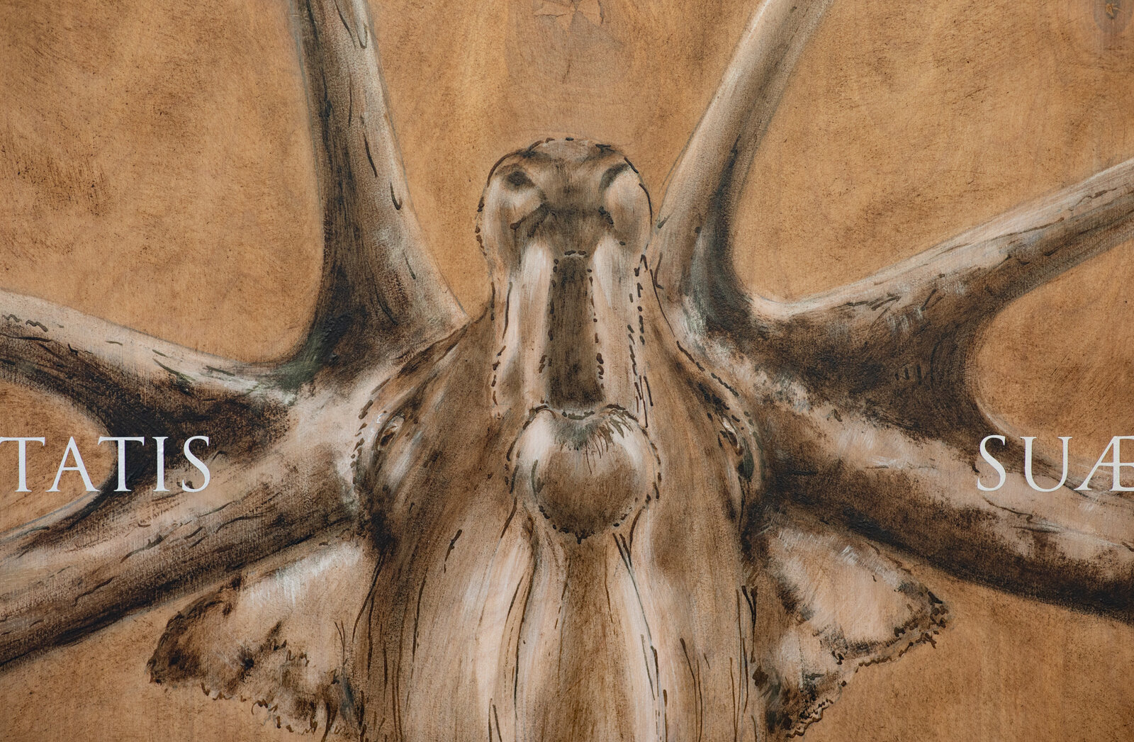 A realistic painting of a deer head mounted on wood with Latin text overlay.