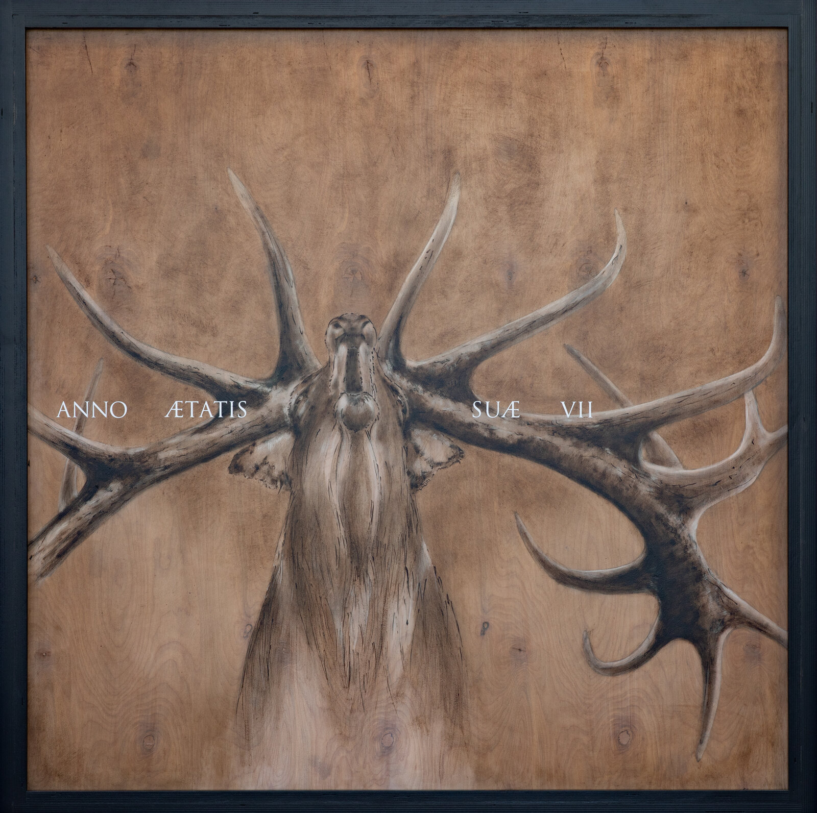A realistic painting of a deer head mounted on wood with Latin text overlay.