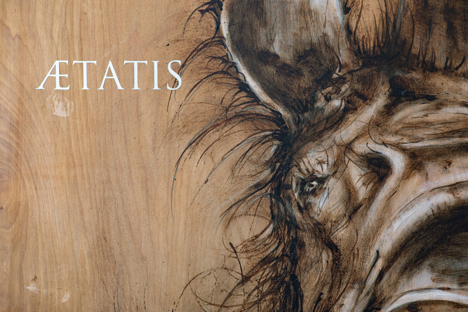 A hyper-realistic charcoal sketch of a rhinoceros head on a wood-grain background with white text.