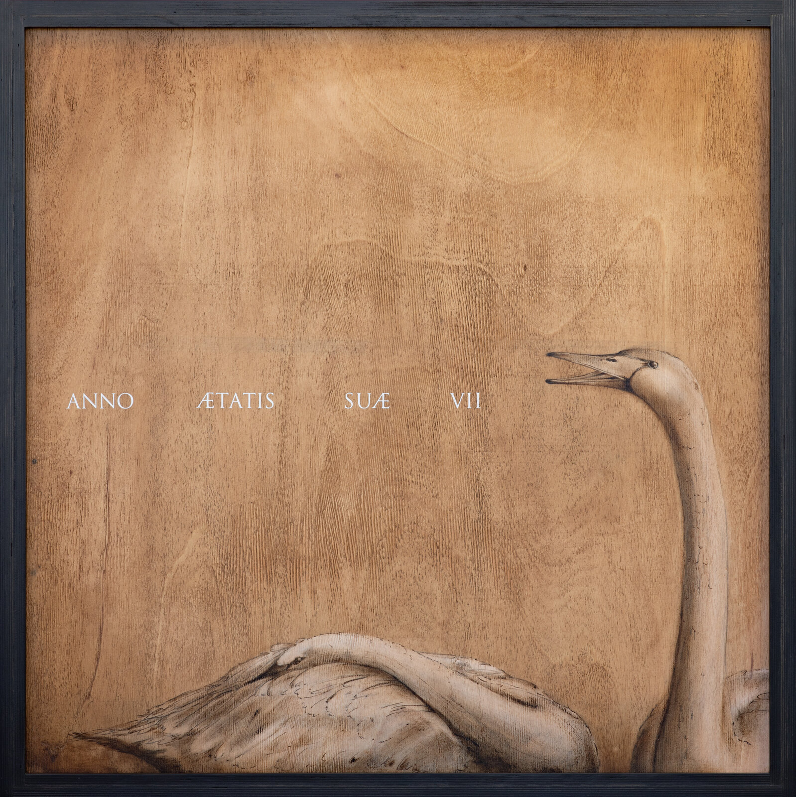 A monochromatic wood carving of a swan with text reading 'ANNO ÆTATIS SUÆ VII'.