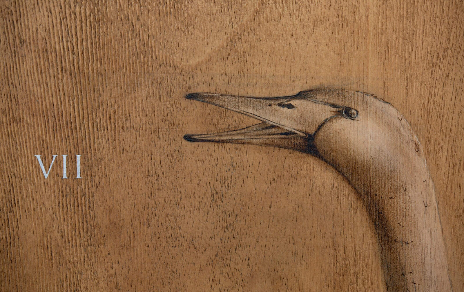 A monochromatic wood carving of a swan with text reading 'ANNO ÆTATIS SUÆ VII'.