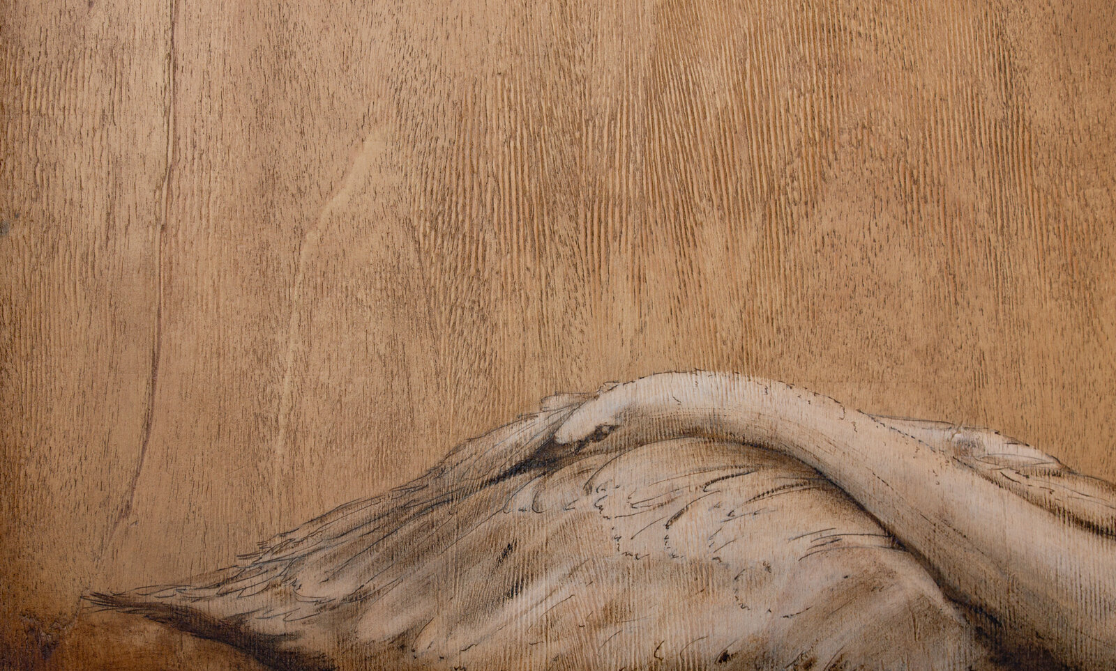 A monochromatic wood carving of a swan with text reading 'ANNO ÆTATIS SUÆ VII'.