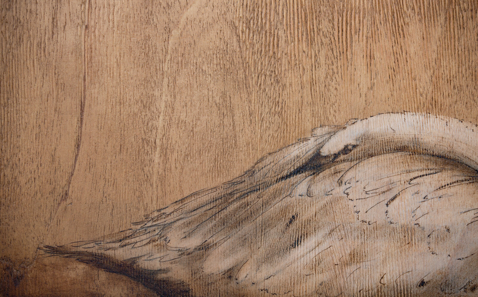 A monochromatic wood carving of a swan with text reading 'ANNO ÆTATIS SUÆ VII'.