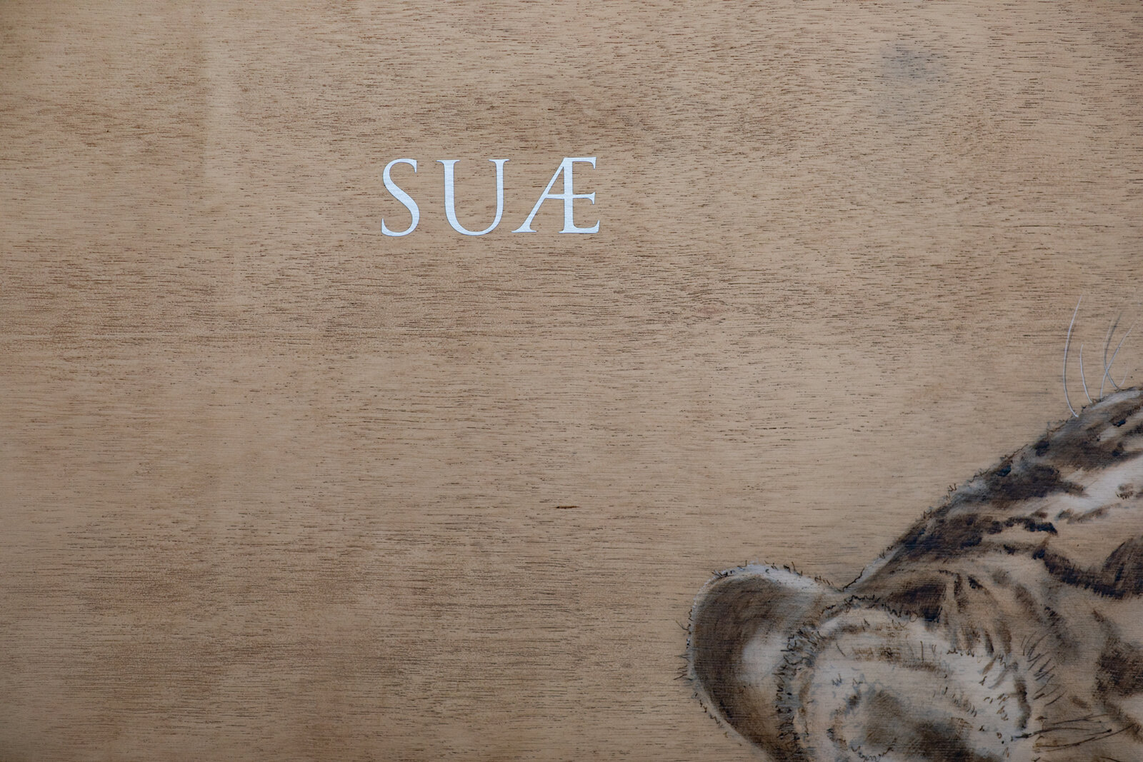 A white tiger head gazes upward against a textured wooden background with Latin text.