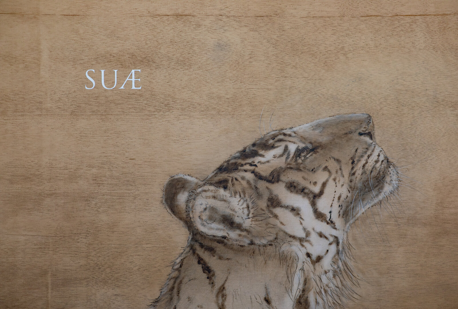 A white tiger head gazes upward against a textured wooden background with Latin text.