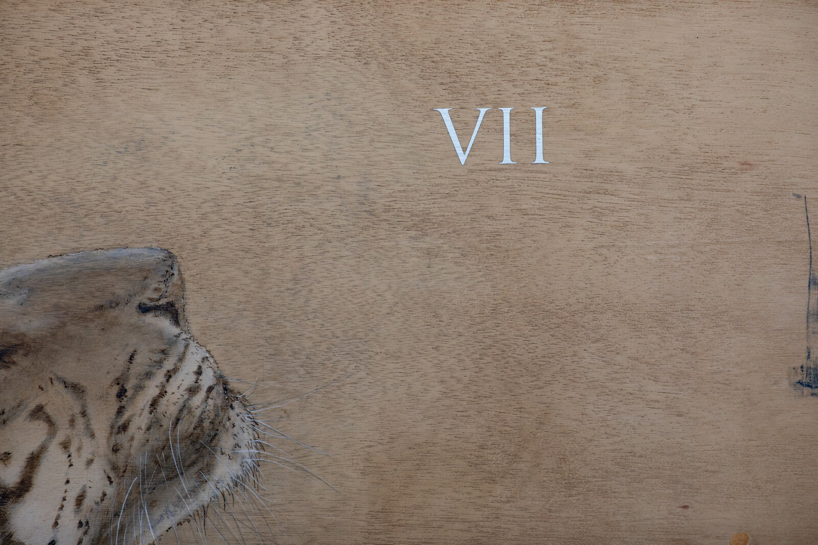 A white tiger head gazes upward against a textured wooden background with Latin text.