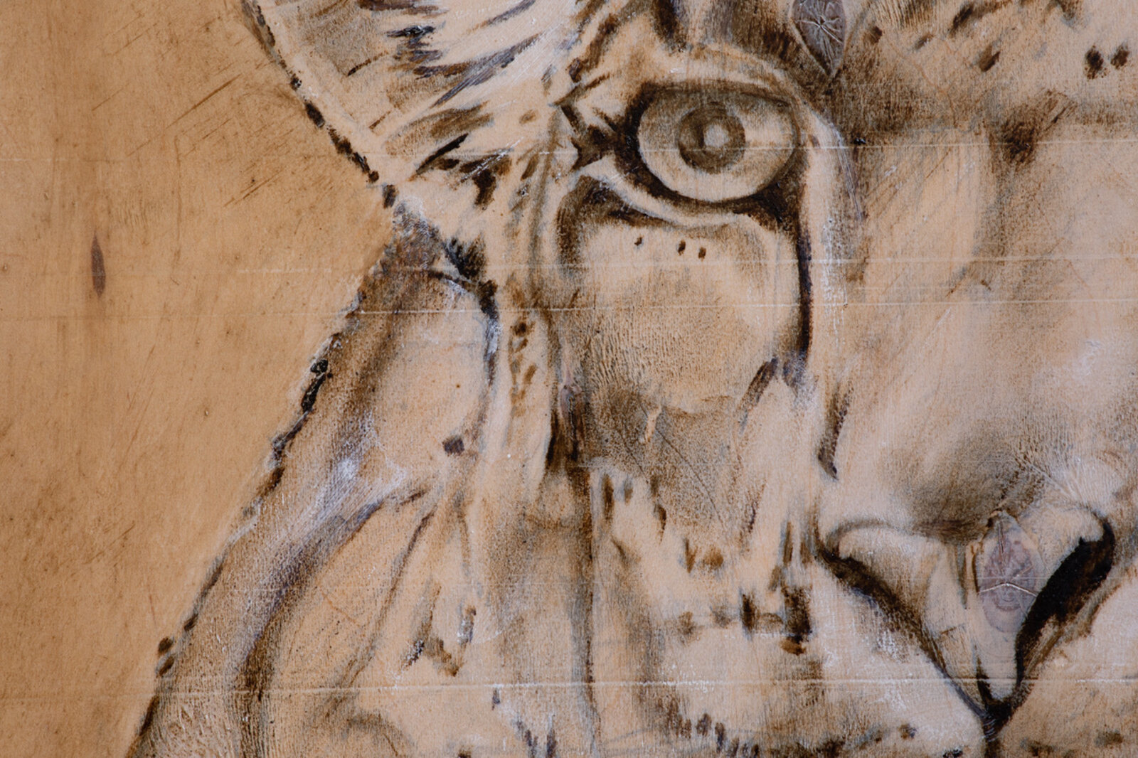 A realistic leopard resting on a weathered wooden surface, framed by industrial markings.
