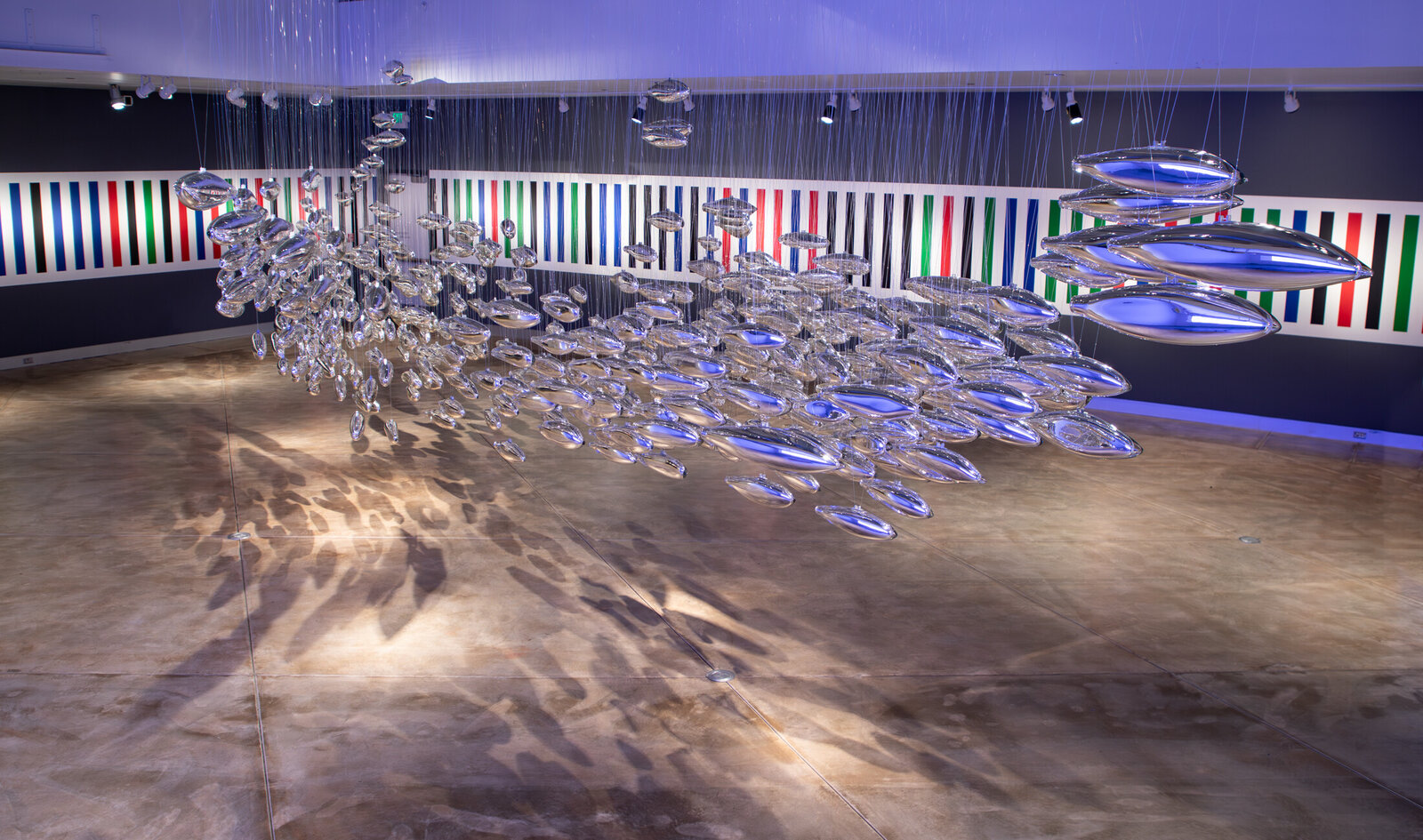 The Salmon School by Joseph Gregory Rossano, 2019–2024