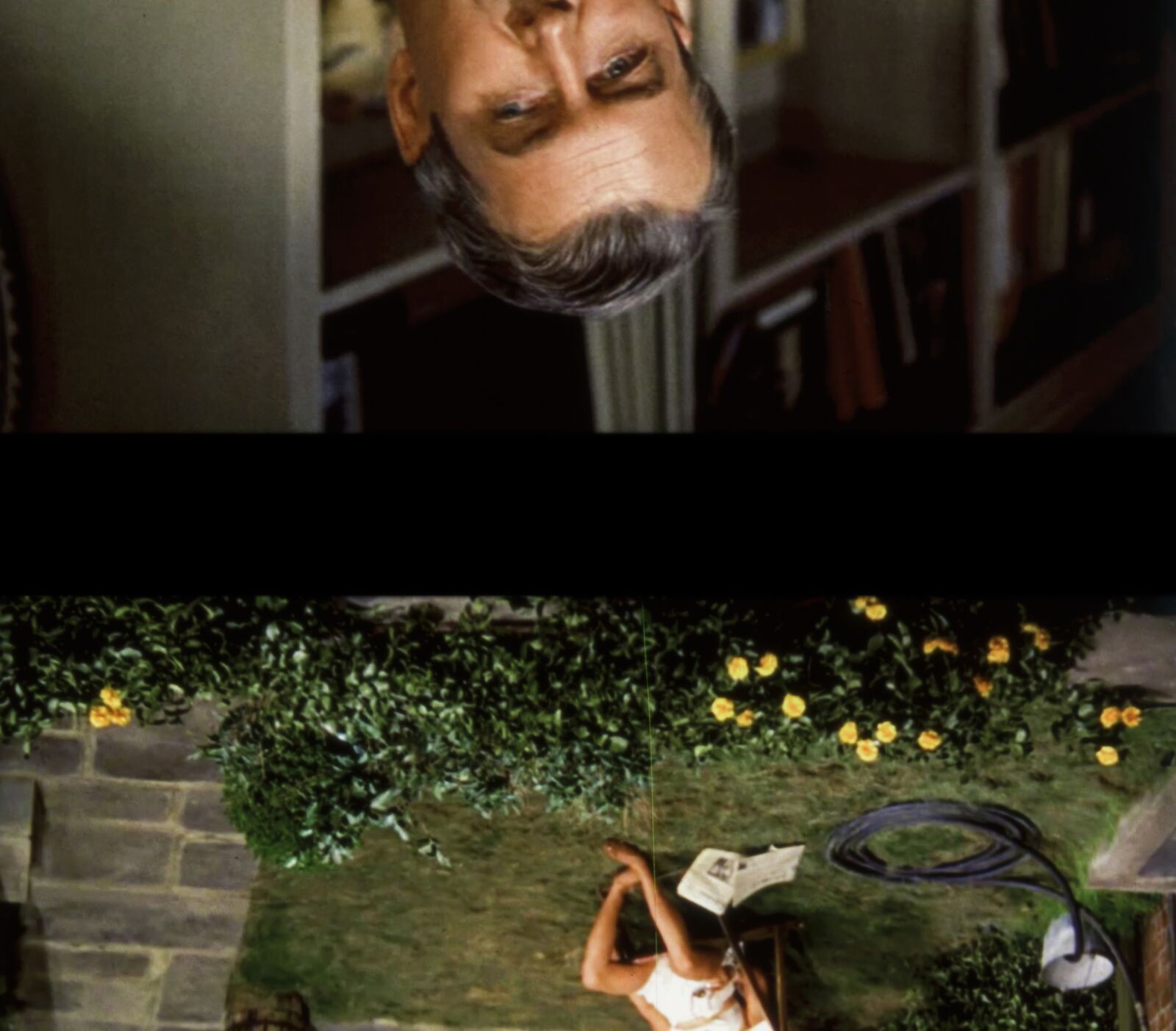 A split-screen composition juxtaposes an upside-down portrait of a bearded man with a serene outdoor scene featuring a person reading on grass.