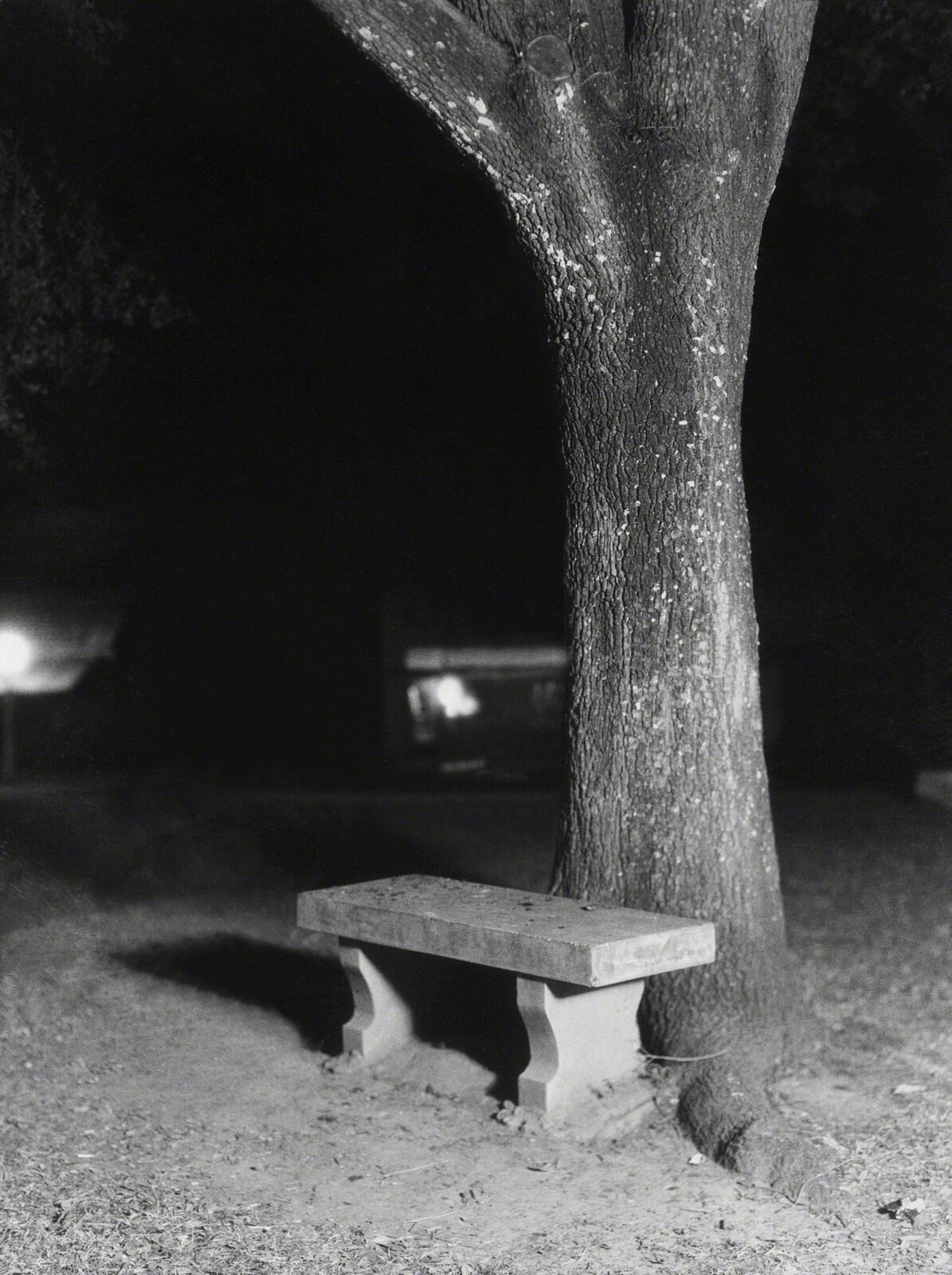 A solitary stone bench rests against a tree trunk in a dark, nocturnal setting.