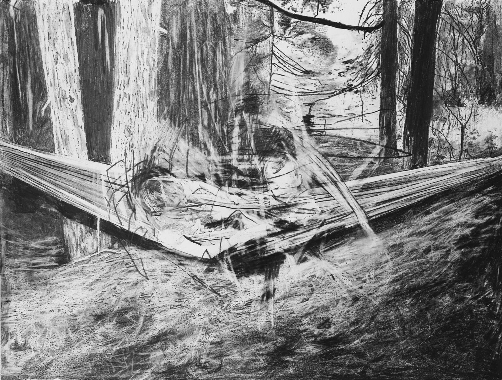 BamCam and the Ham by Joshua Dildine, 2025