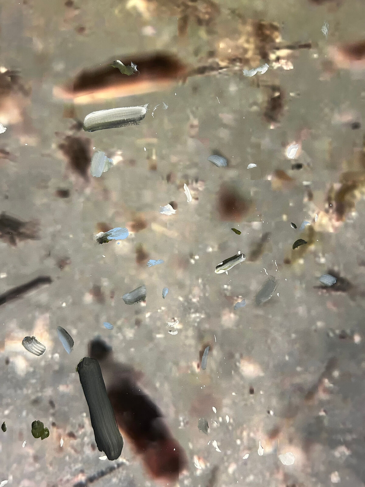 Chum by Joshua Dildine, 2025