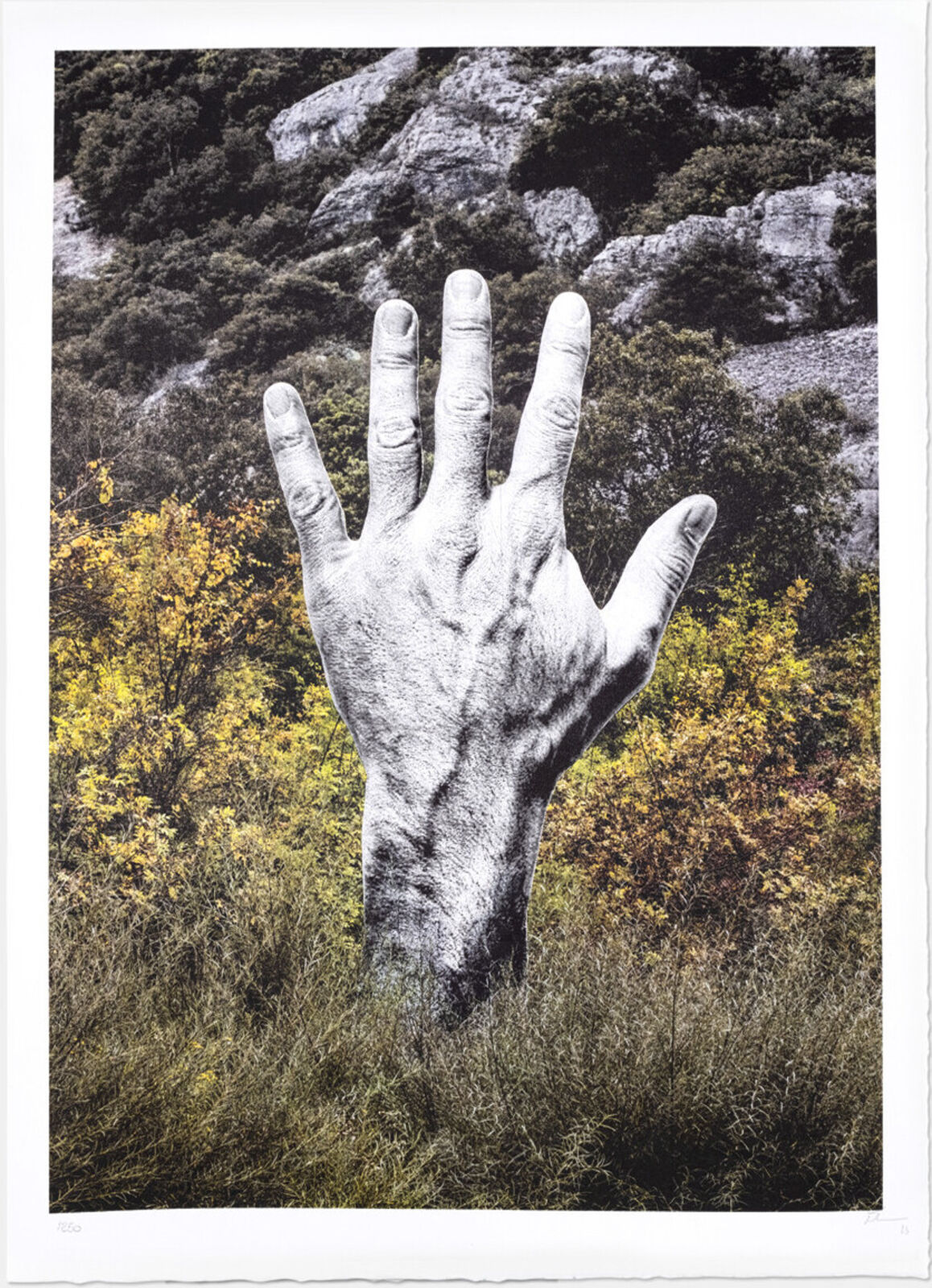 Empreinte, Chauvet, France by JR, 2023