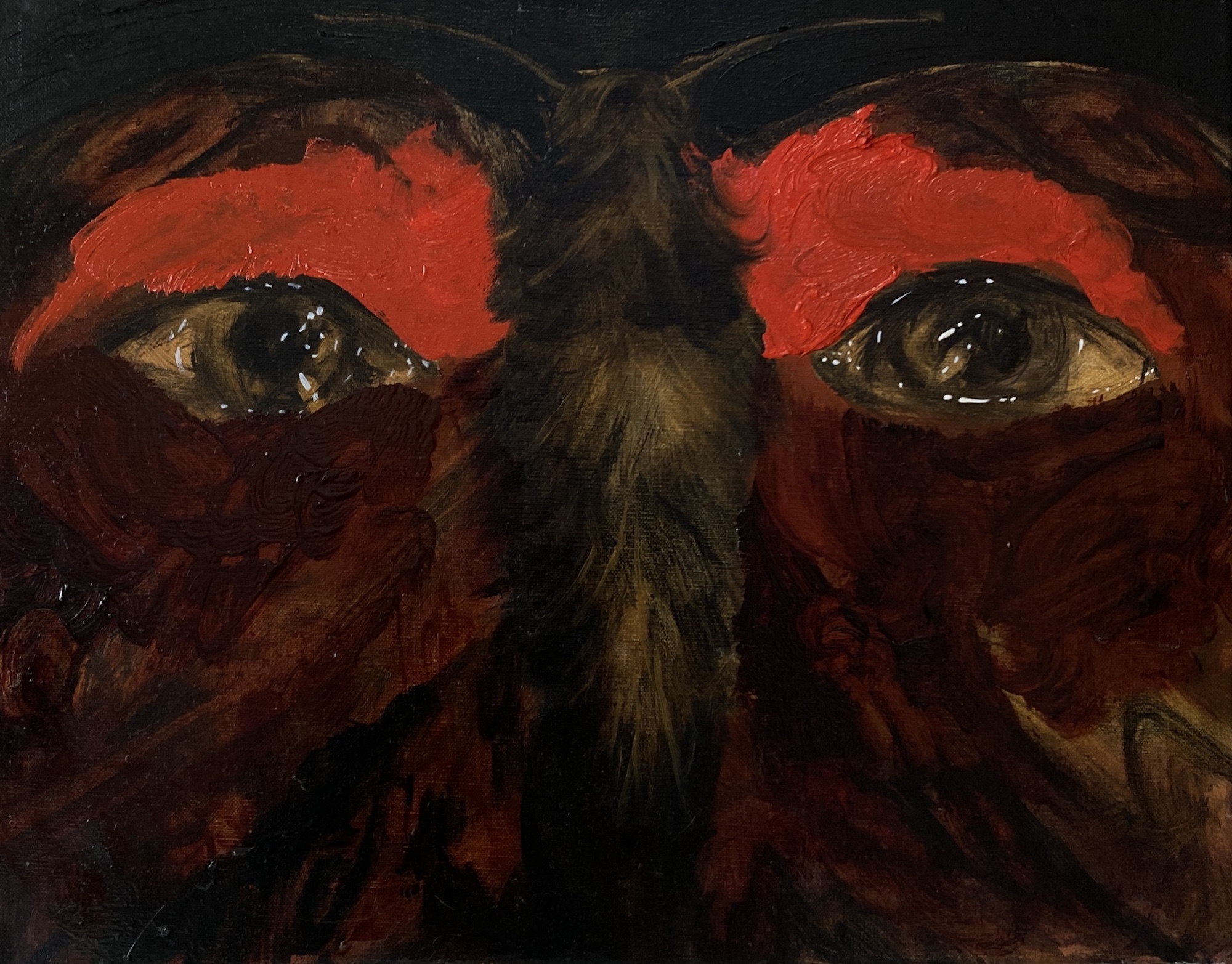 Moth by Julia Szczerbowska, 2024