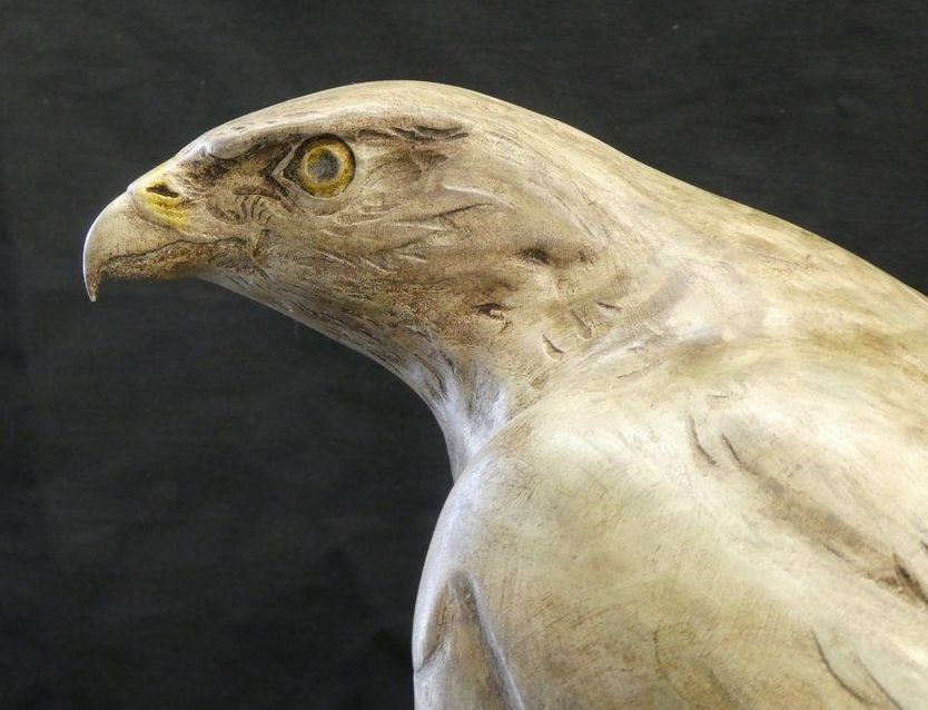 Artwork by Julian Stanley, Goshawk, Made of Wood with a paint 