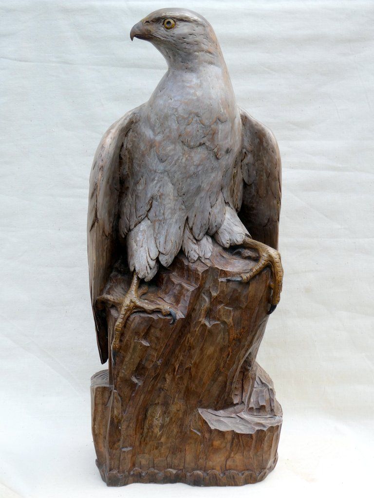 Artwork by Julian Stanley, Goshawk, Made of Wood, paint 