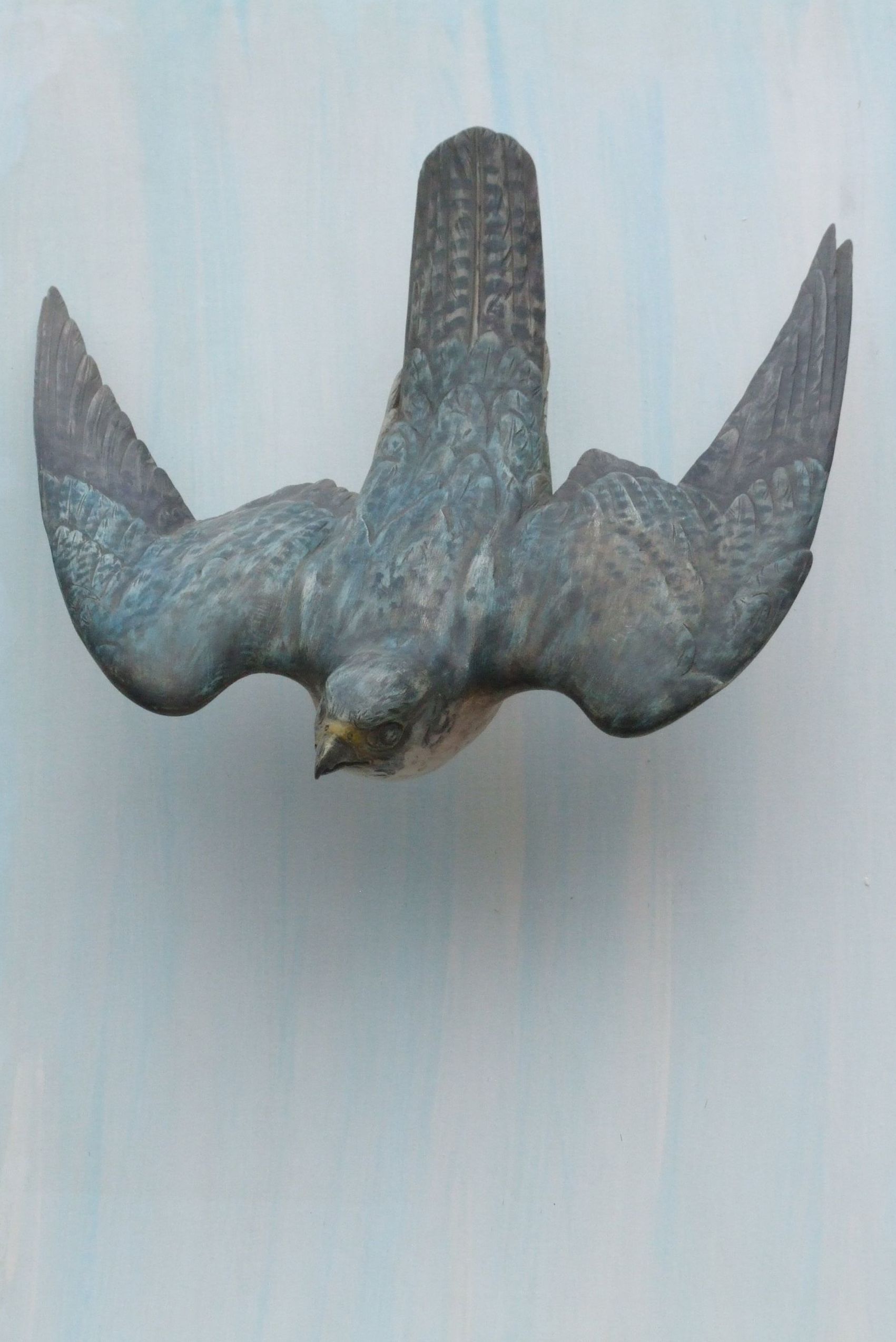 Peregrine Stooping by Julian Stanley, null