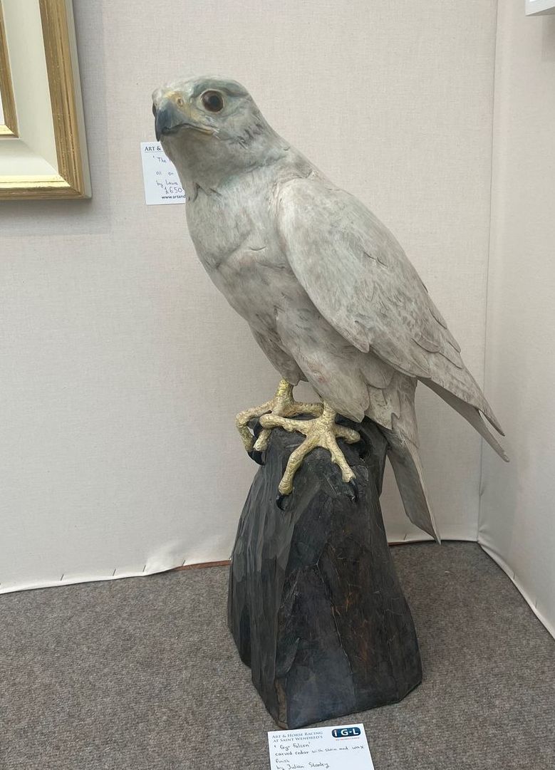 White Gyr Falcon by Julian Stanley, null