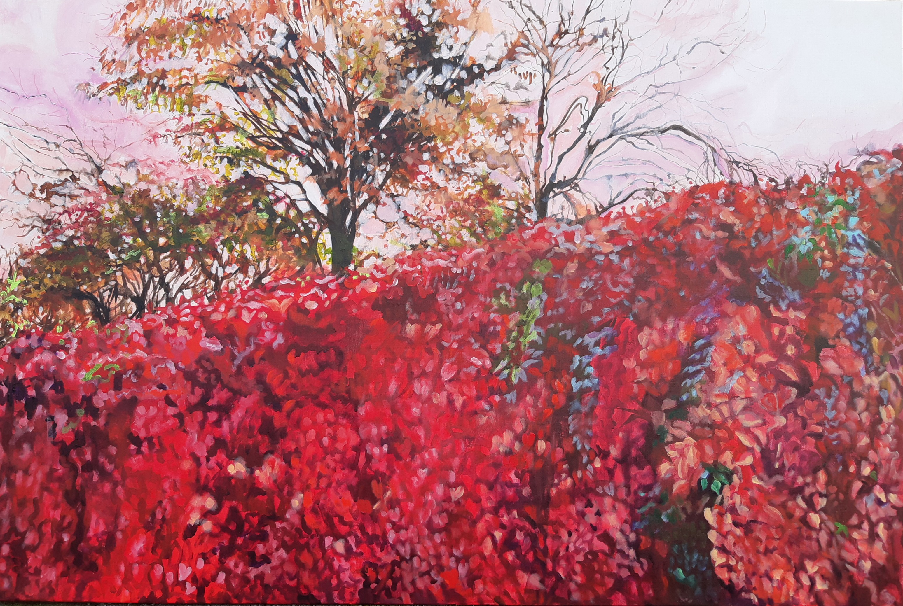 A painting of a tree in the middle of a field of red leaves.