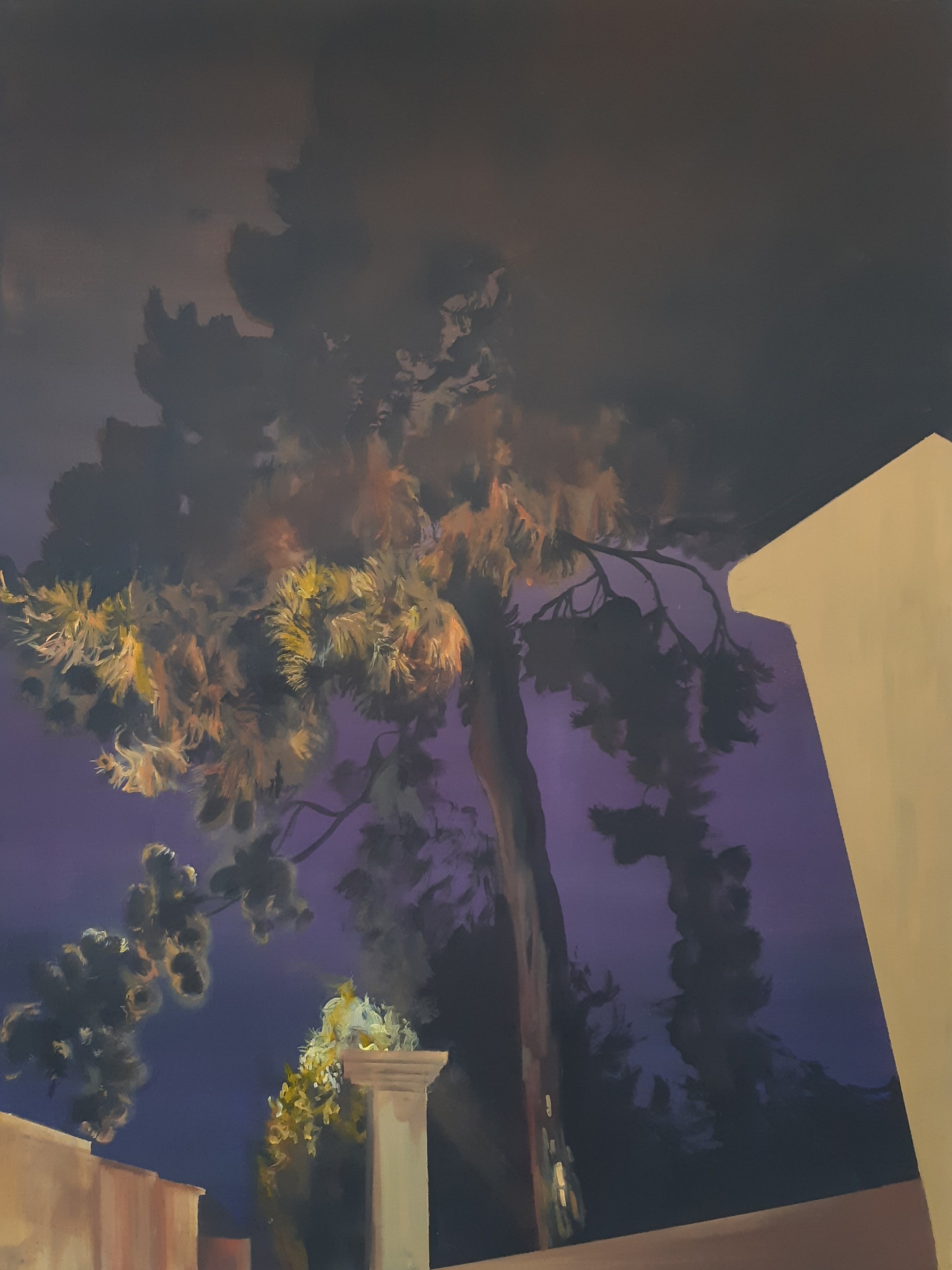 A moody night scene featuring a tall tree with glowing foliage against a deep purple sky.