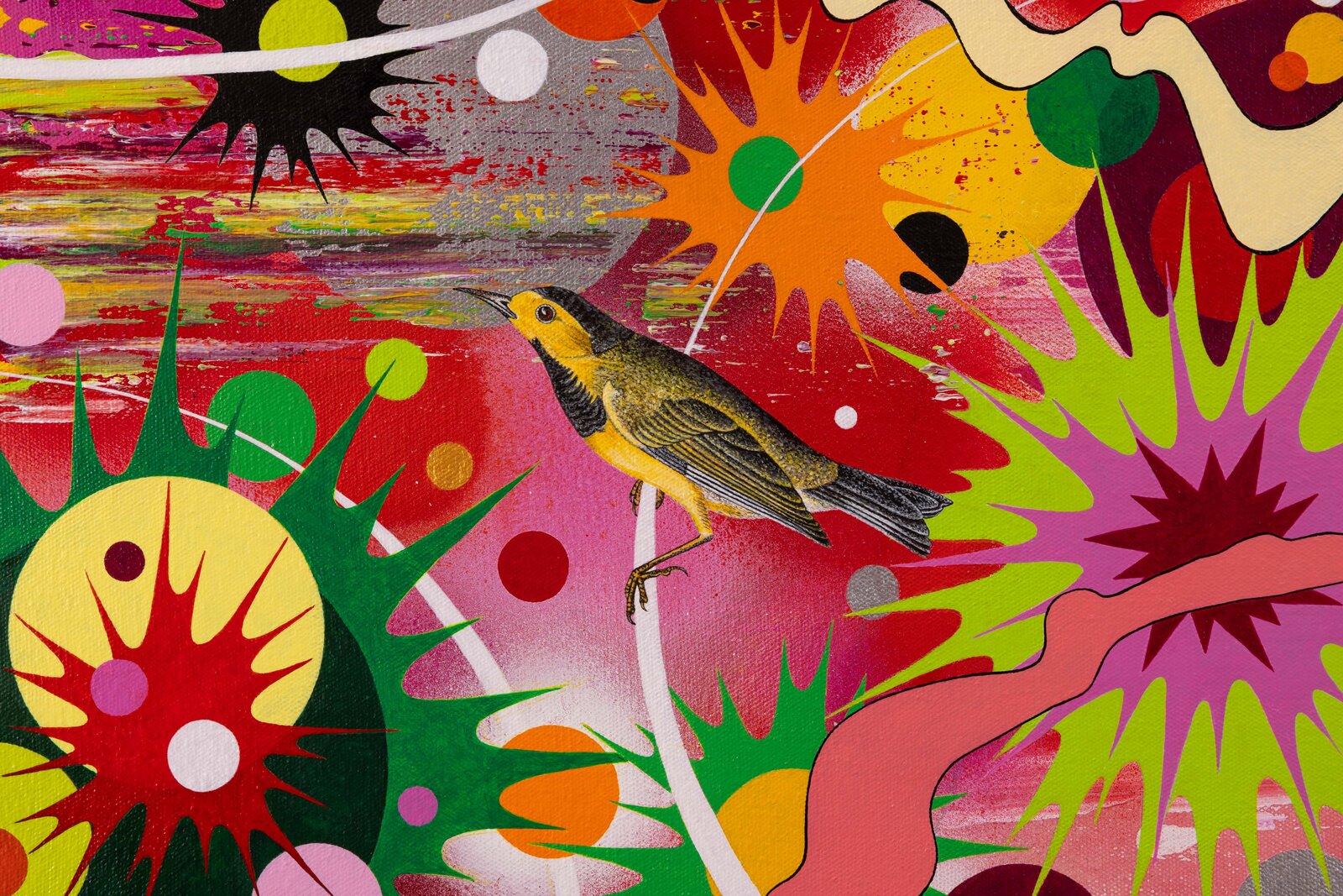 Artwork by Kara Maria, How to go Global (Bachman's warbler and ivory-billed woodpecker, after Audubon), Made of Acrylic on canvas 