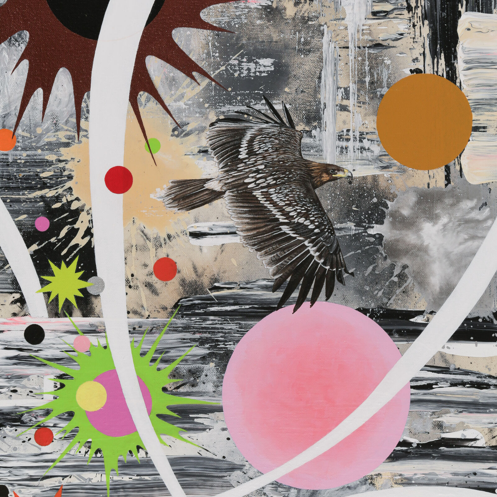 Artwork by Kara Maria, Tropic of Cancer (greater spotted eagle), Made of Acrylic on canvas 