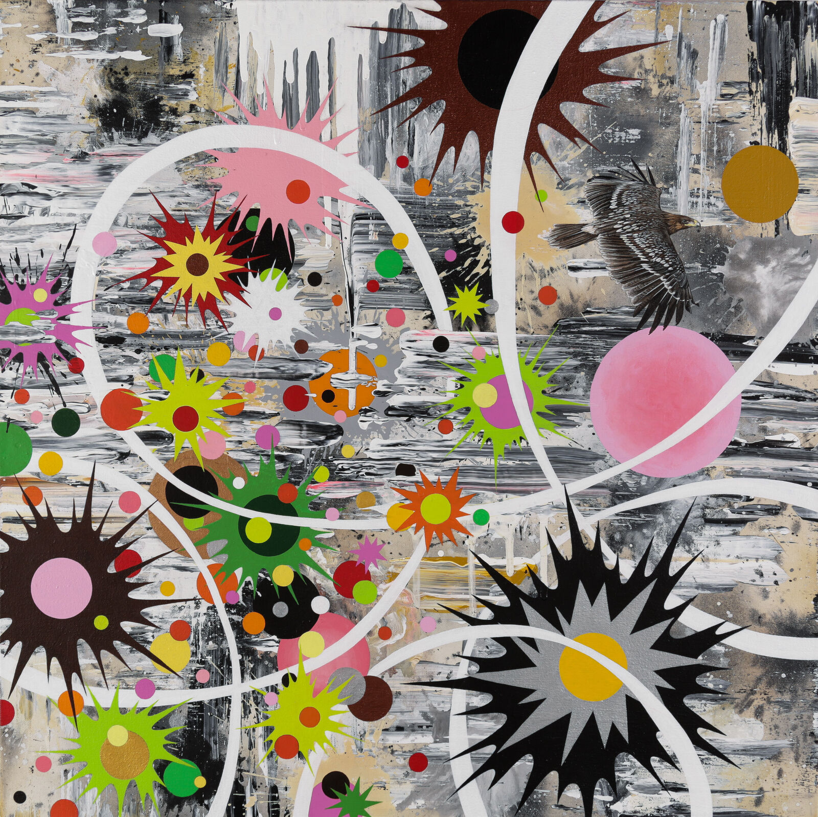 Artwork by Kara Maria, Tropic of Cancer (greater spotted eagle), Made of Acrylic on canvas 