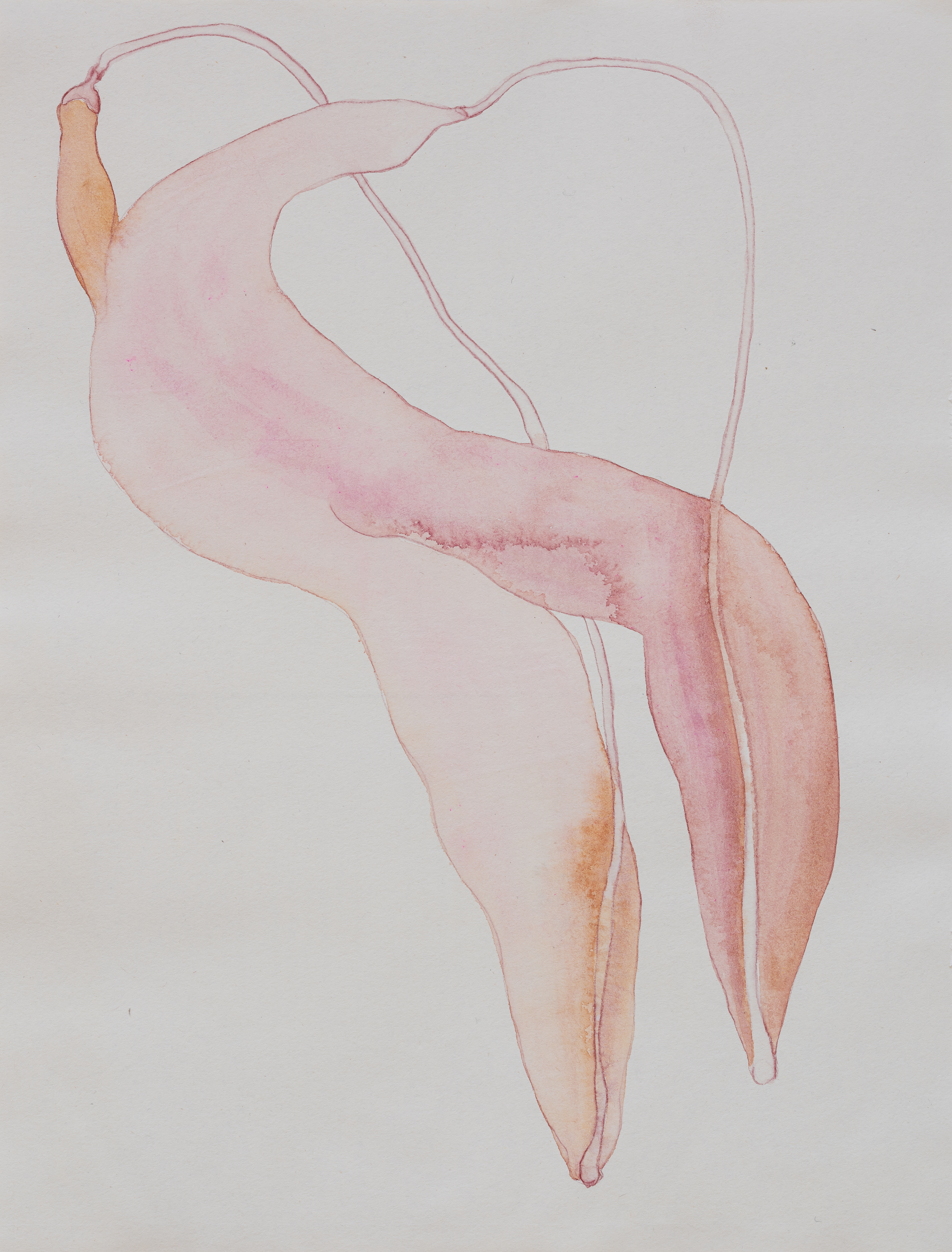 "3", from the "Pasture" series by Karolina Wysocka, 2025