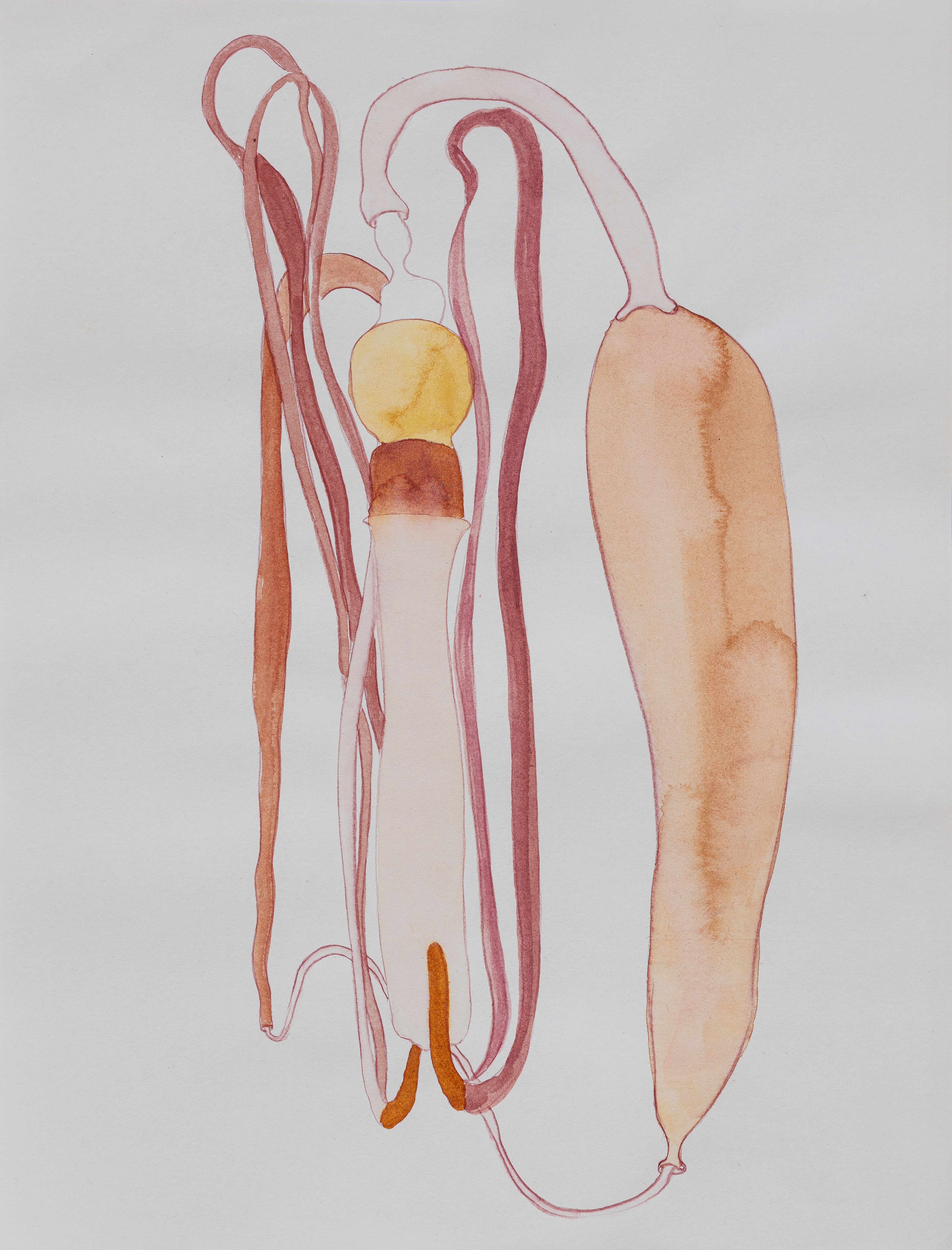 "5", from the "Pasture" series by Karolina Wysocka, 2025