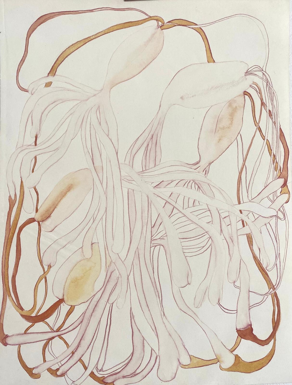 From the "Pasture" series by Karolina Wysocka, 2025