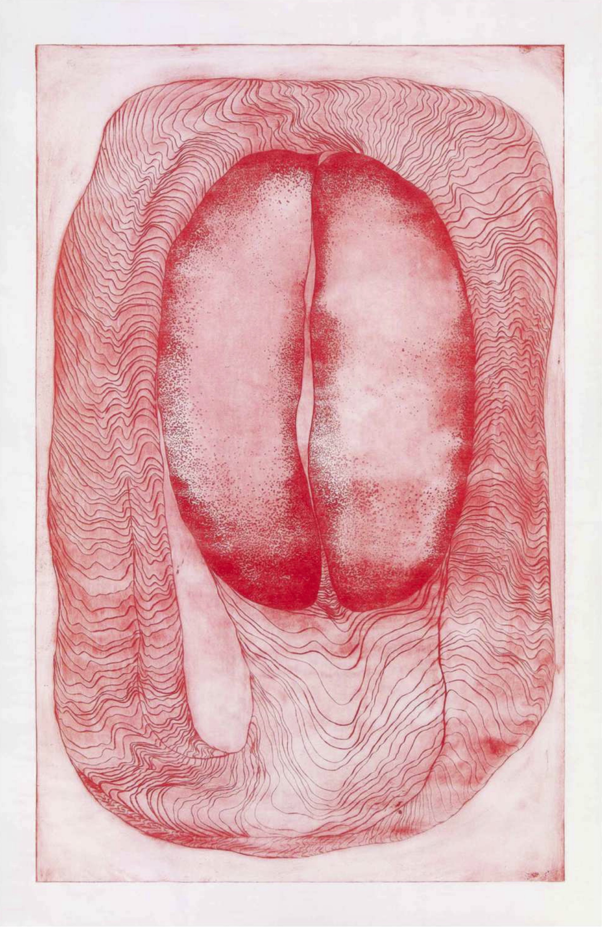 A red and white drawing of a human tongue.
