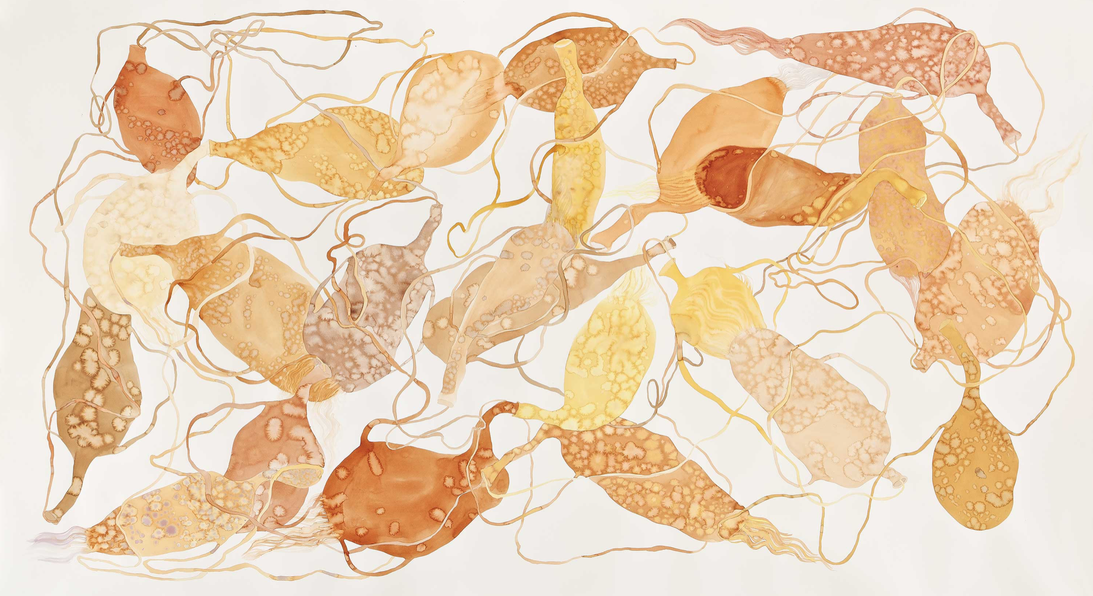 From the "Instrumental" series by Karolina Wysocka, 2024