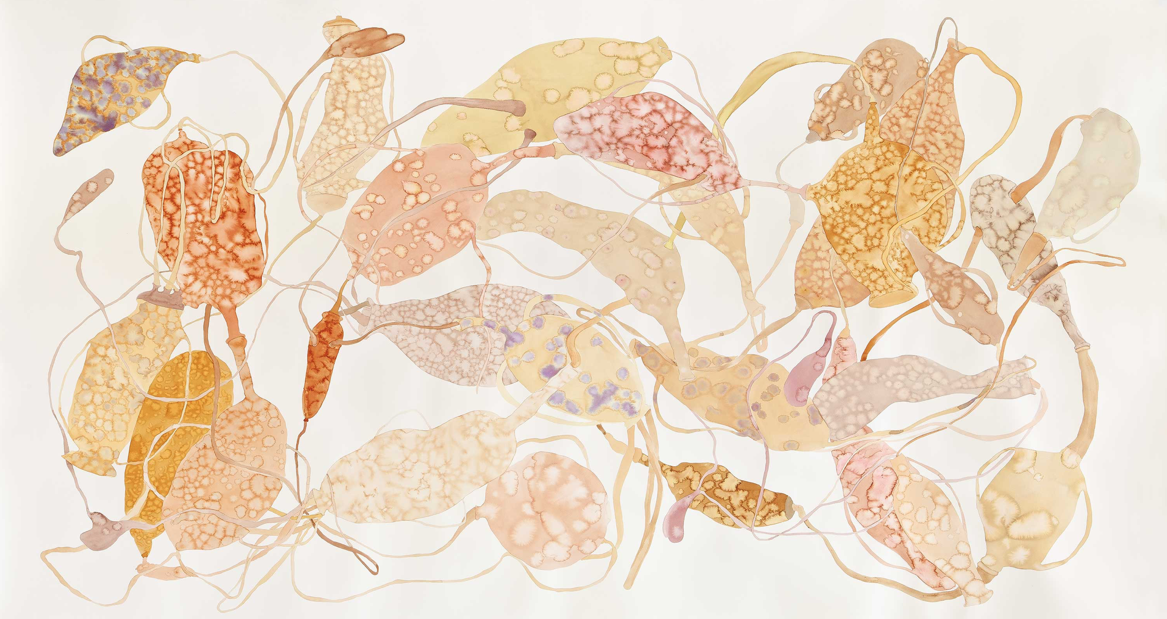 From the "Instrumental" series by Karolina Wysocka, 2024