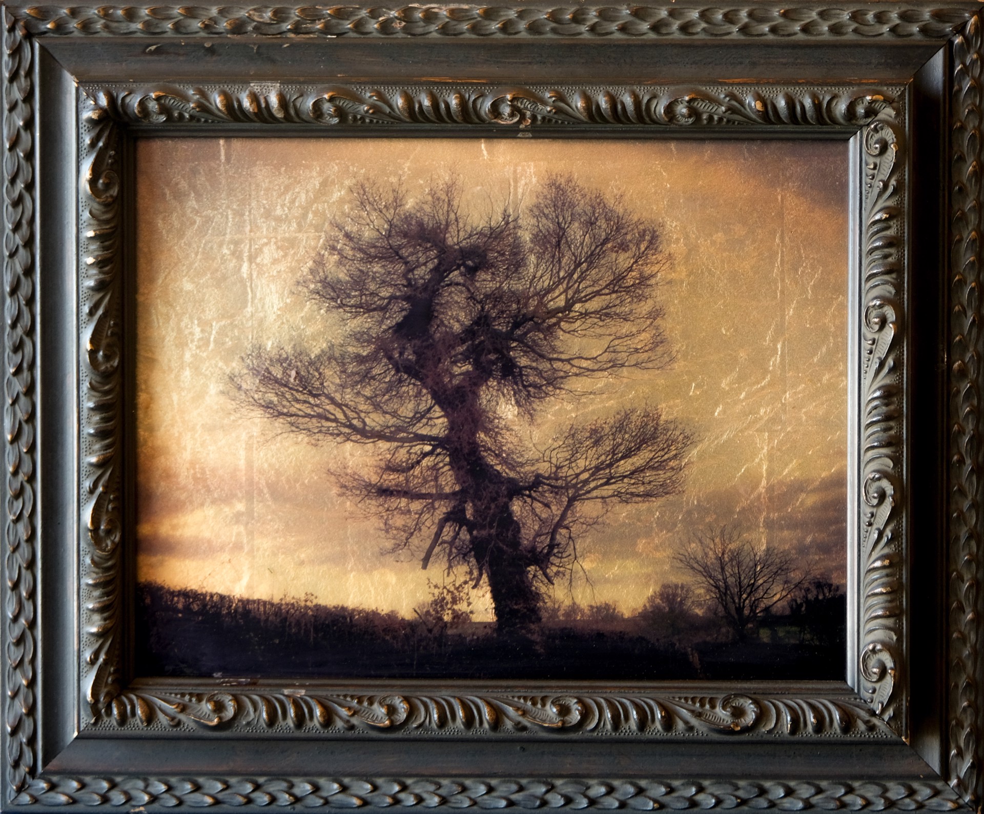 A picture of a tree in a frame on a wall.