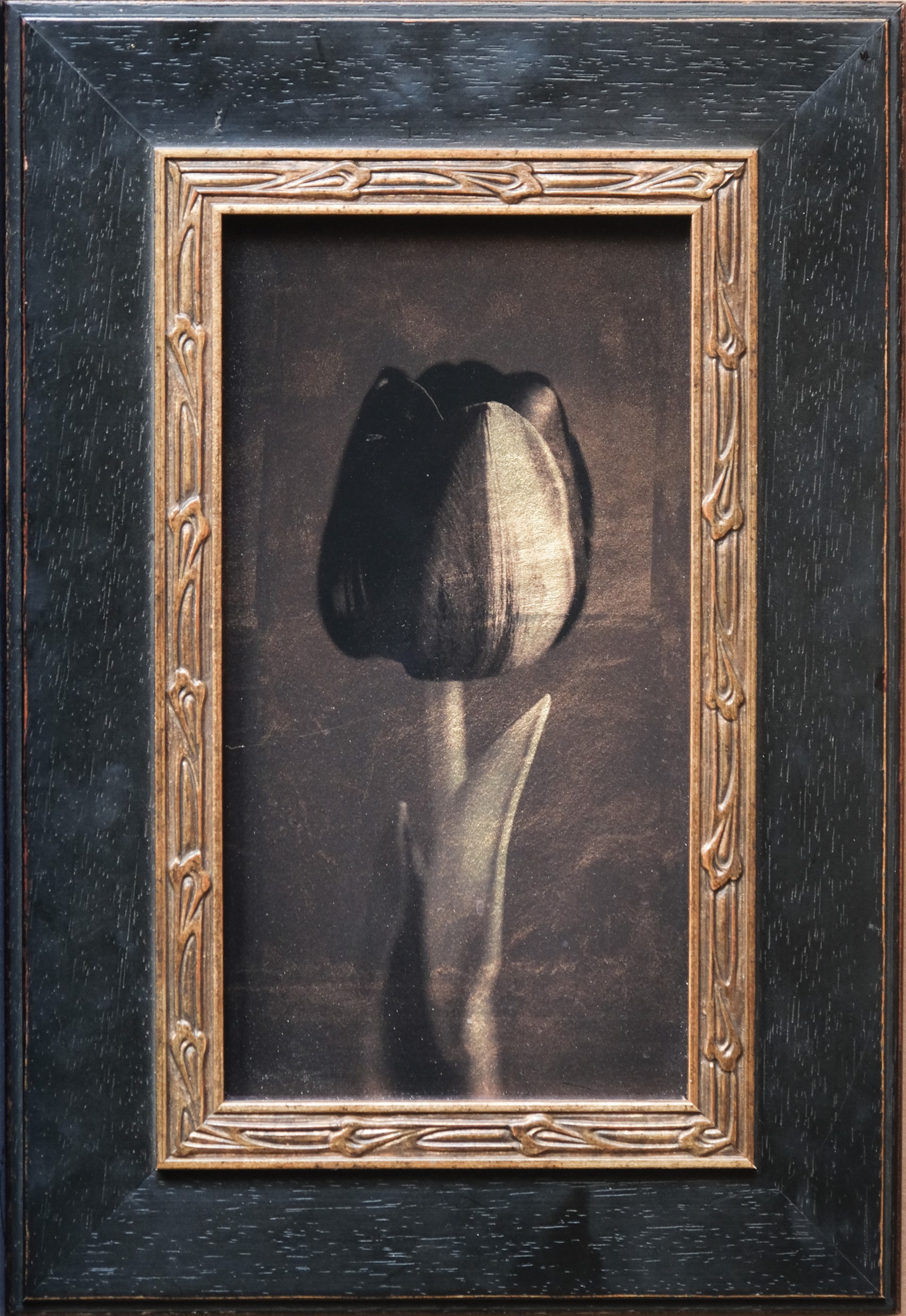 A monochromatic still life of a dark flower in an ornate frame.