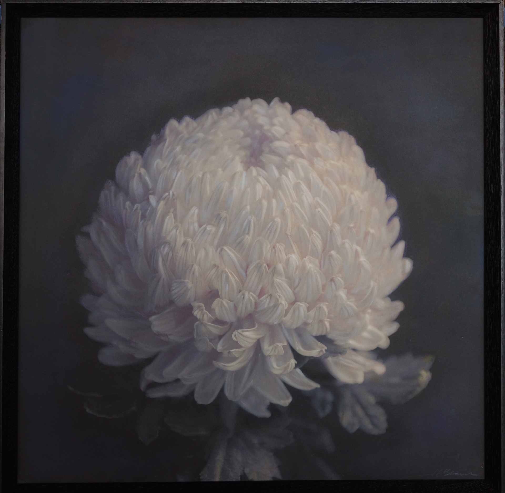 A painting of a white flower in a black frame.