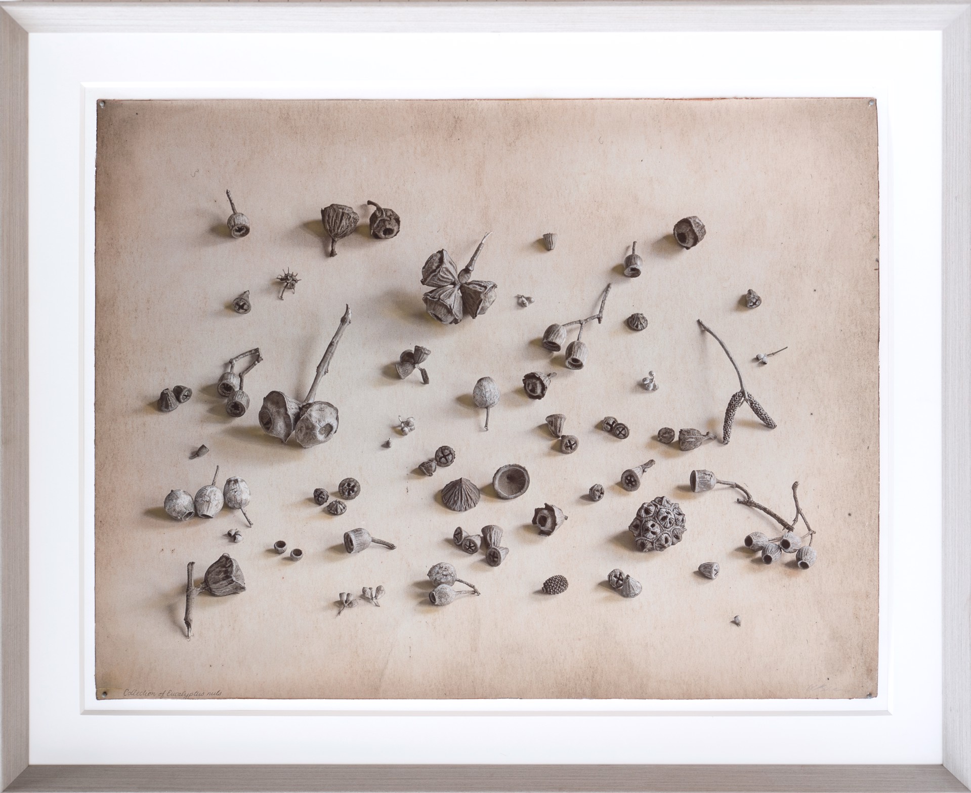 A picture of a bunch of dried flowers on a piece of paper.