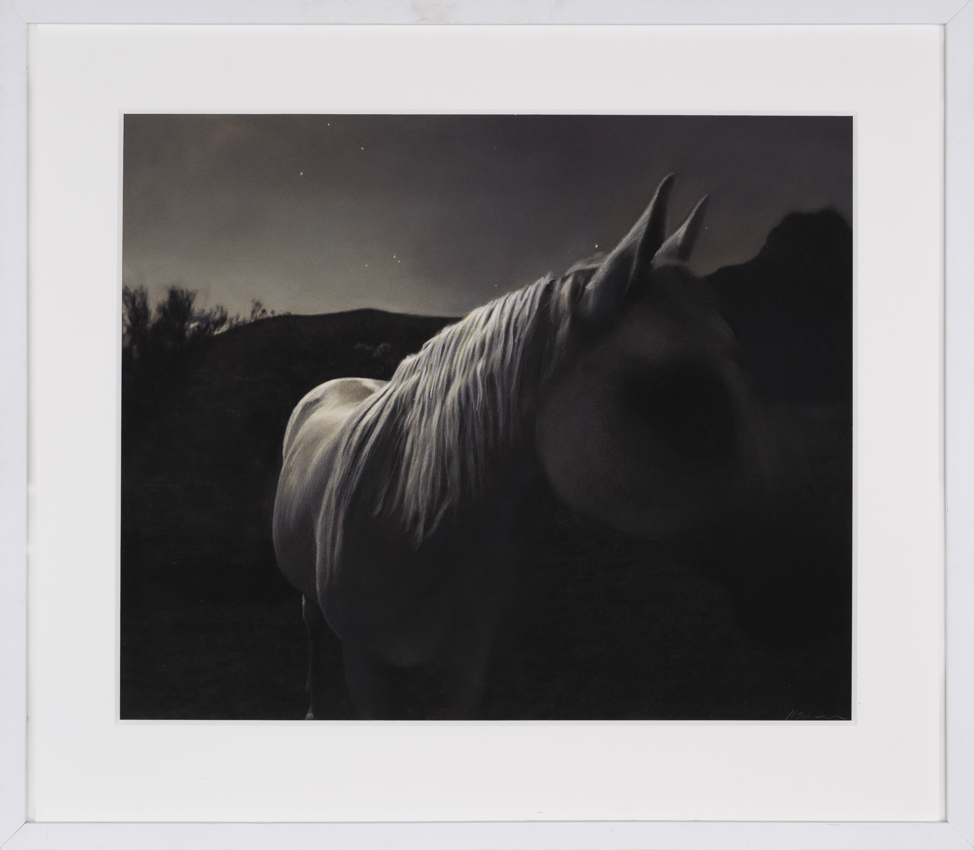 A black and white photo of a horse in a field.