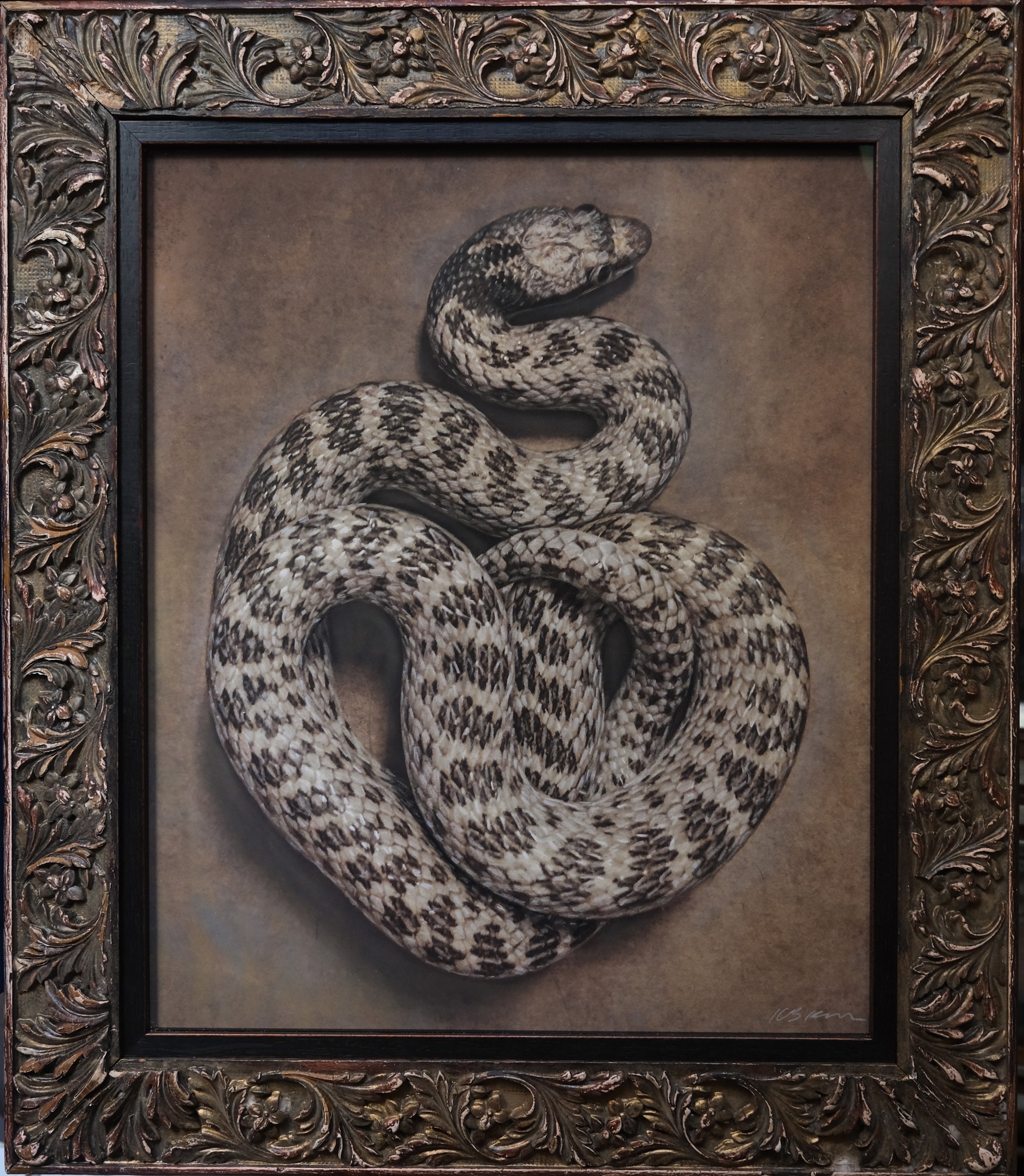 A painting of a snake in a gold frame.