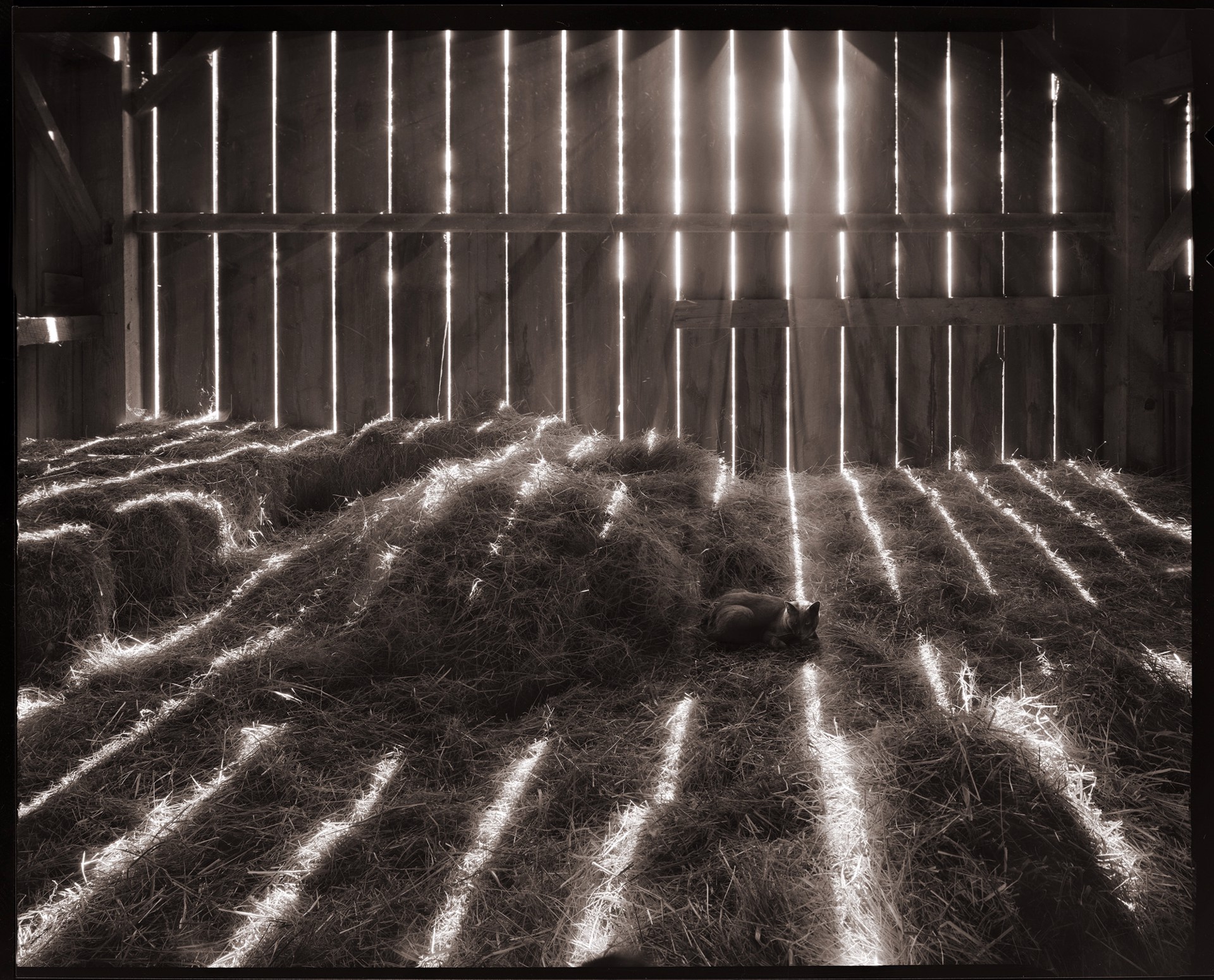 In the Loft by Kelly  James, 2025