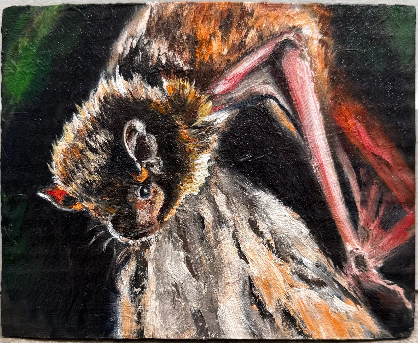 A textured oil painting of a small, furry creature with large ears and bright eyes.