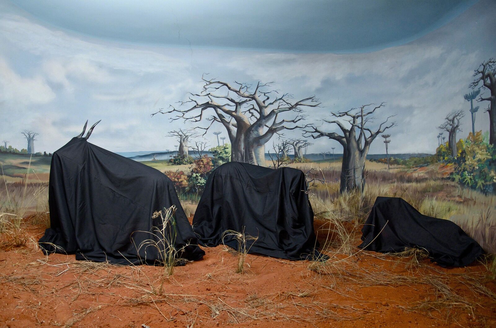 In the Days of a Dark Safari #3 by Kiluanji Kia Henda, 2017